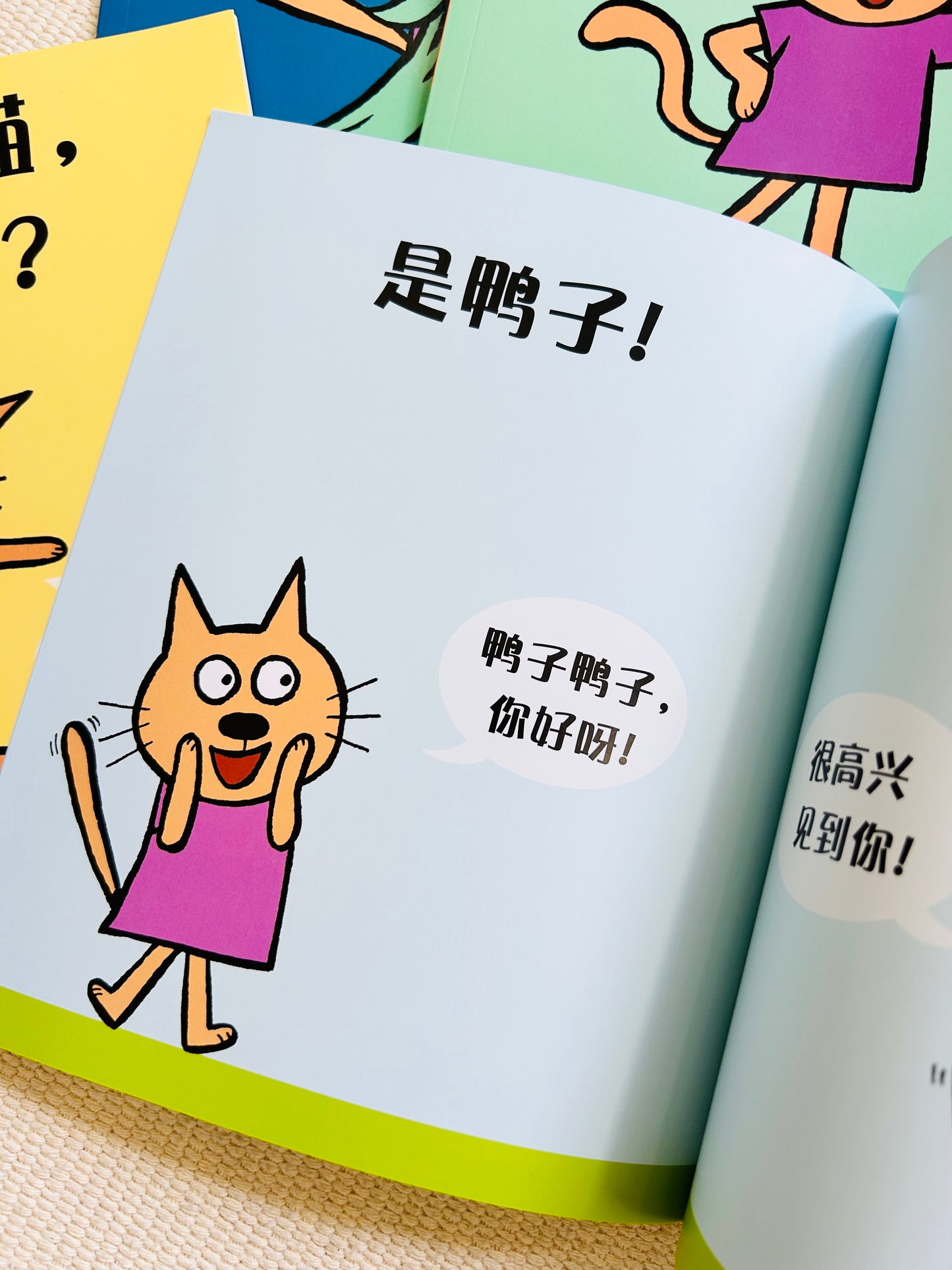 小猫小猫,那是谁?Cat the Cat, Who is That? (Set of 4)