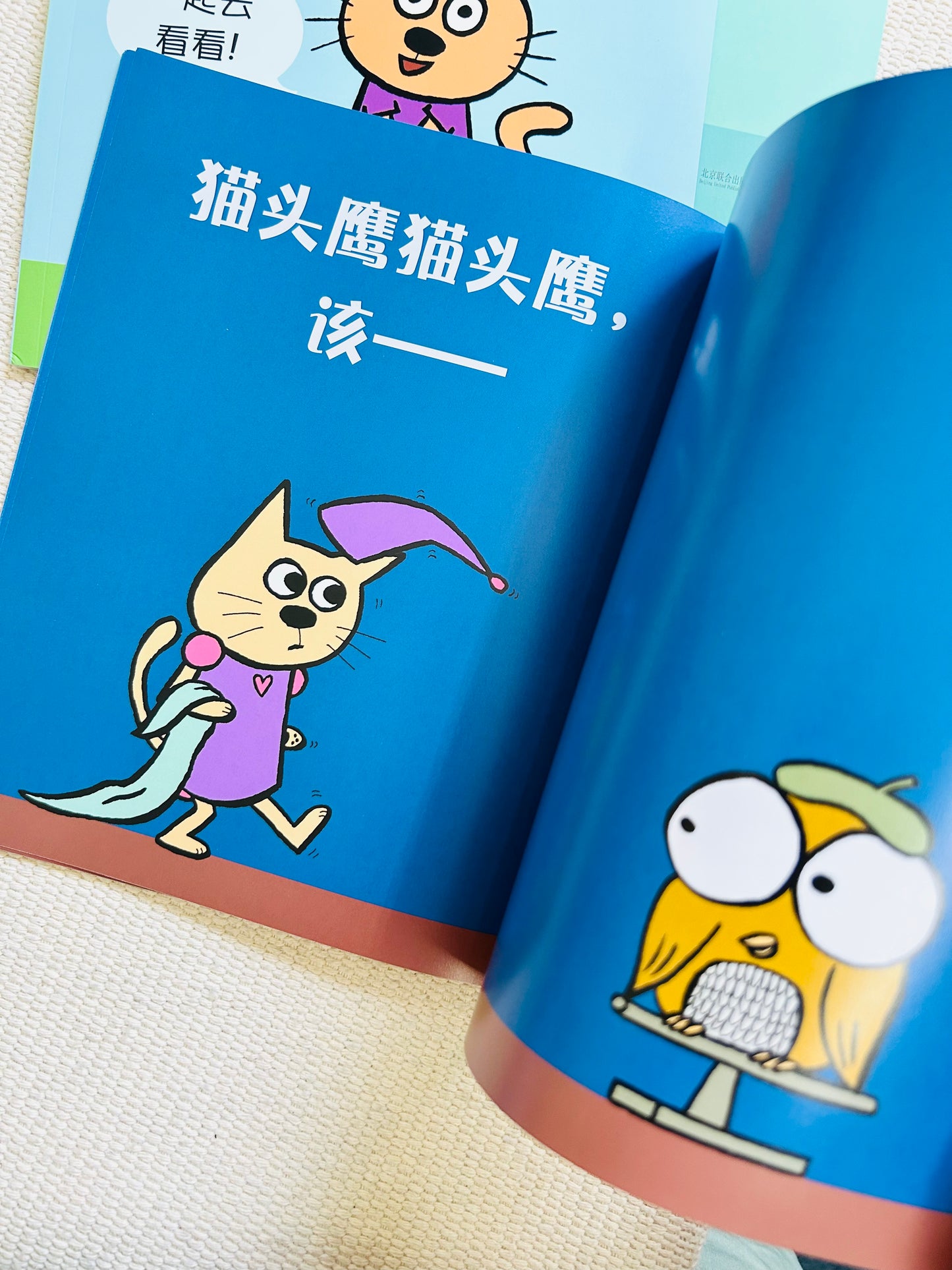 小猫小猫,那是谁?Cat the Cat, Who is That? (Set of 4)