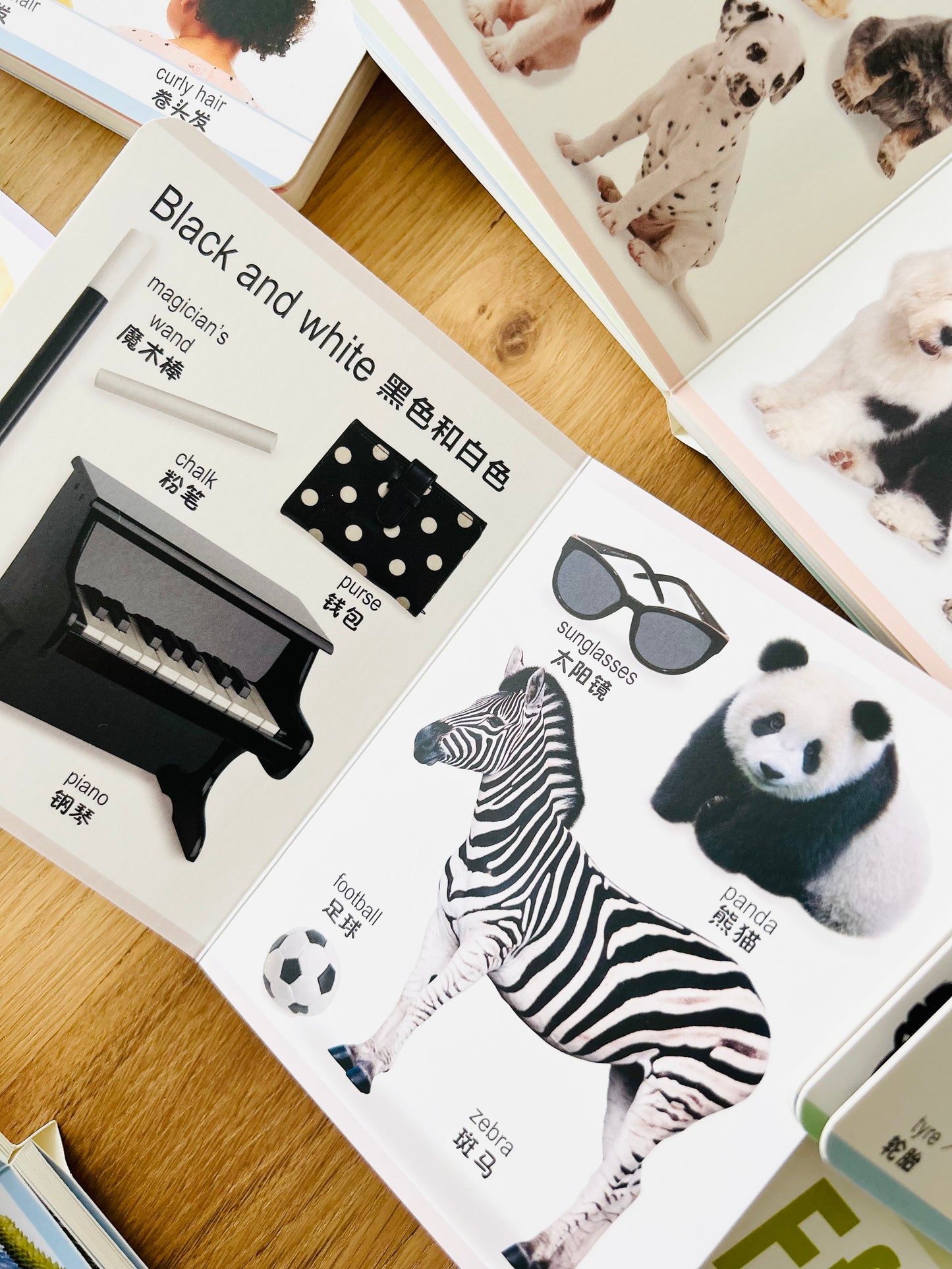 Board Book Encyclopedia for Little Ones 幼儿百科全书 (Set of 8)