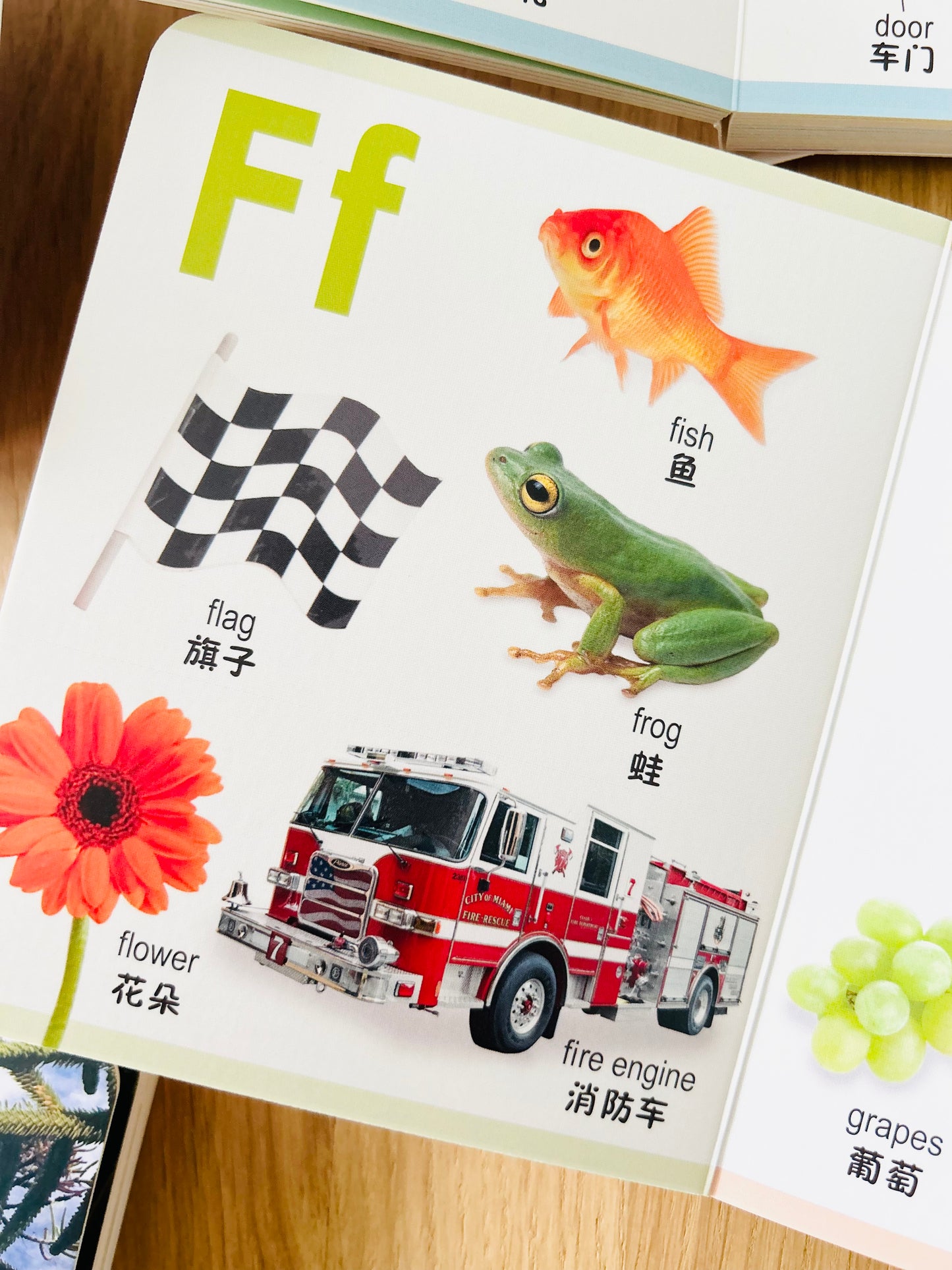Board Book Encyclopedia for Little Ones 幼儿百科全书 (Set of 8)