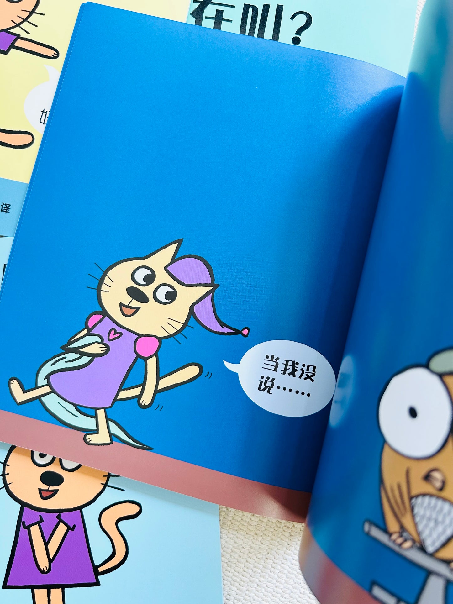 小猫小猫,那是谁?Cat the Cat, Who is That? (Set of 4)