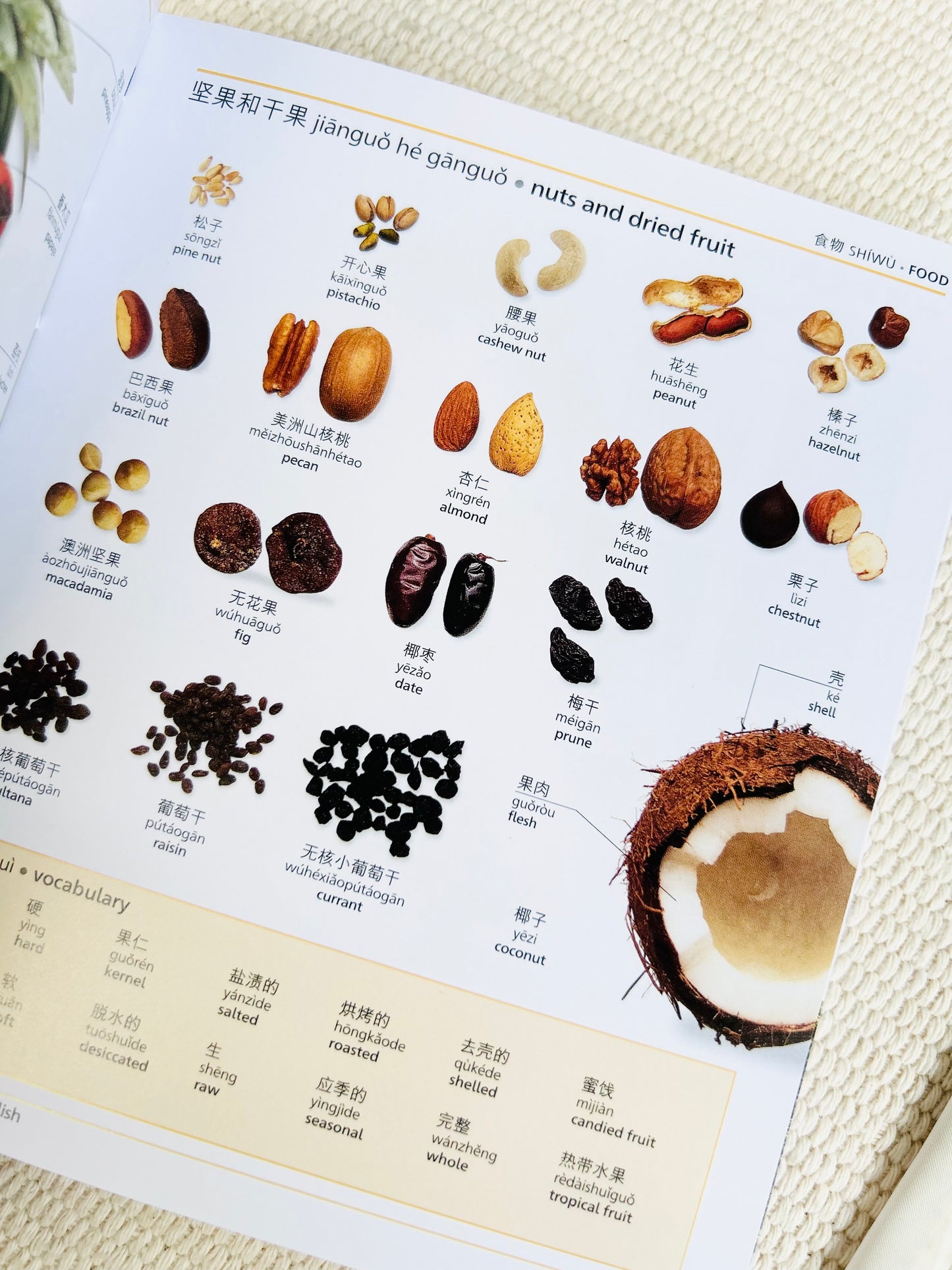 Mandarin Chinese-English Bilingual Visual Dictionary