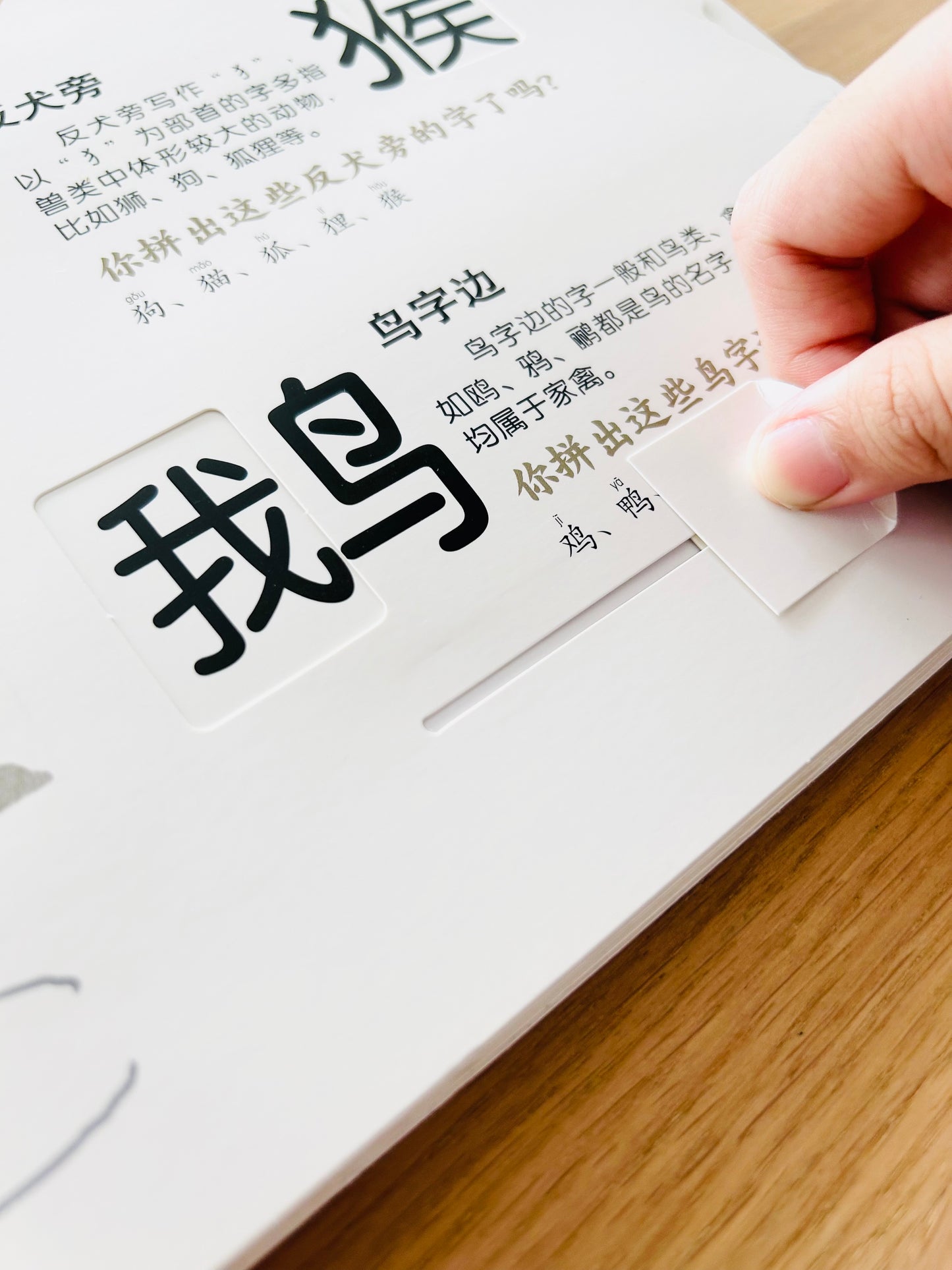 汉字真好玩 Chinese Characters are Fun (Set of 2)
