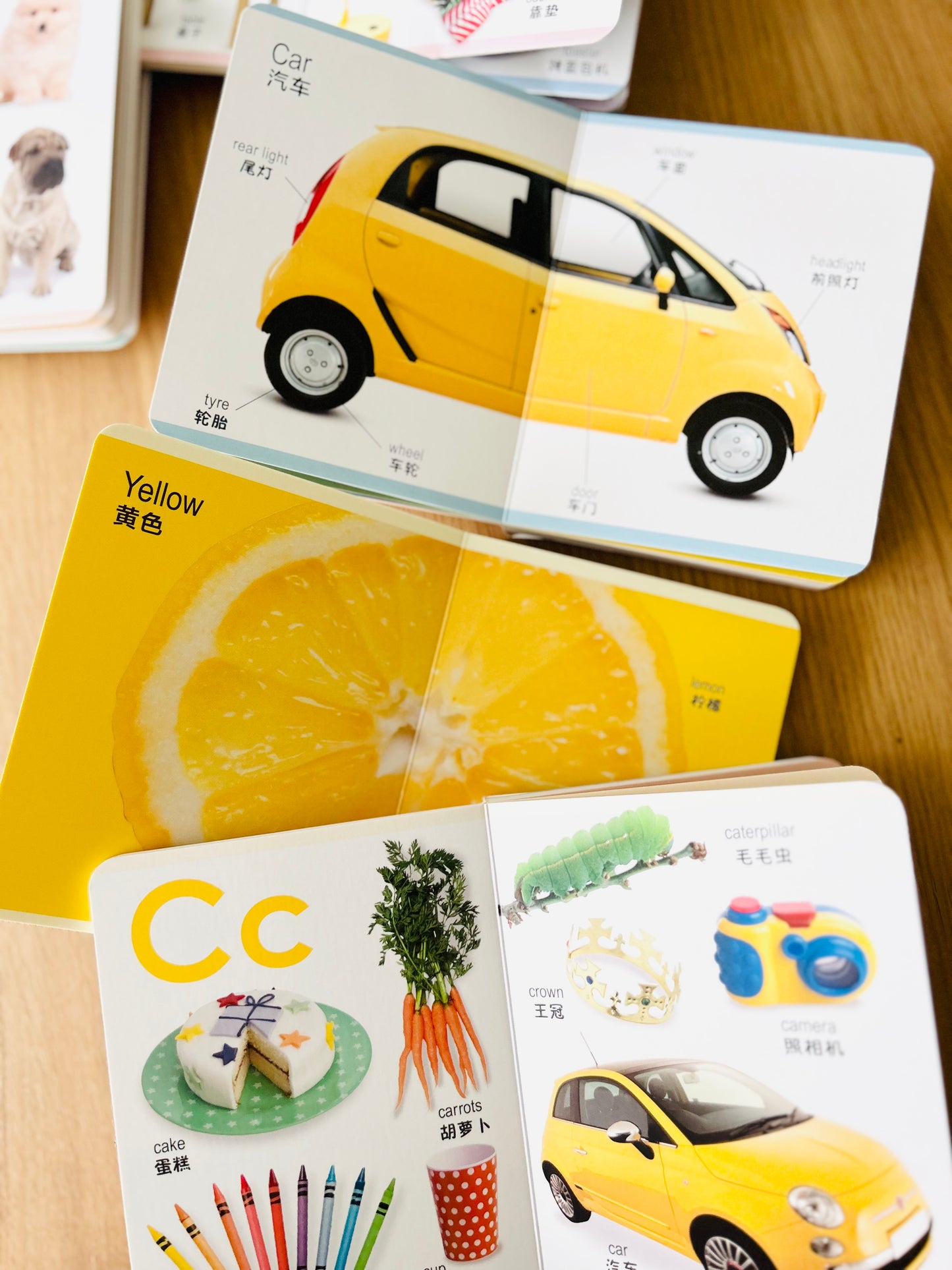 Board Book Encyclopedia for Little Ones 幼儿百科全书 (Set of 8)