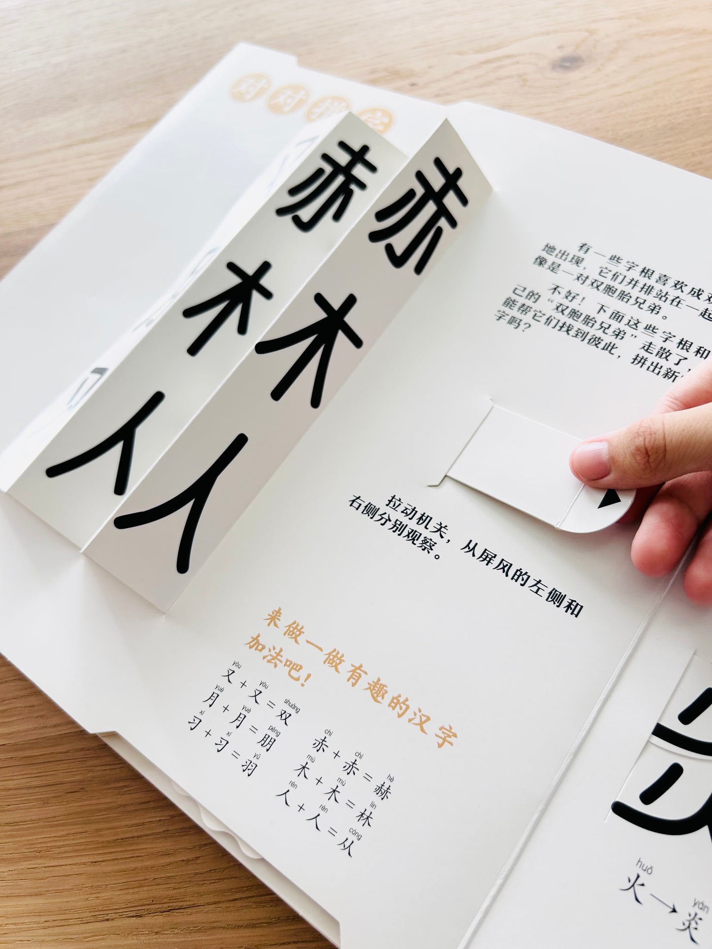 汉字真好玩 Chinese Characters are Fun (Set of 2)