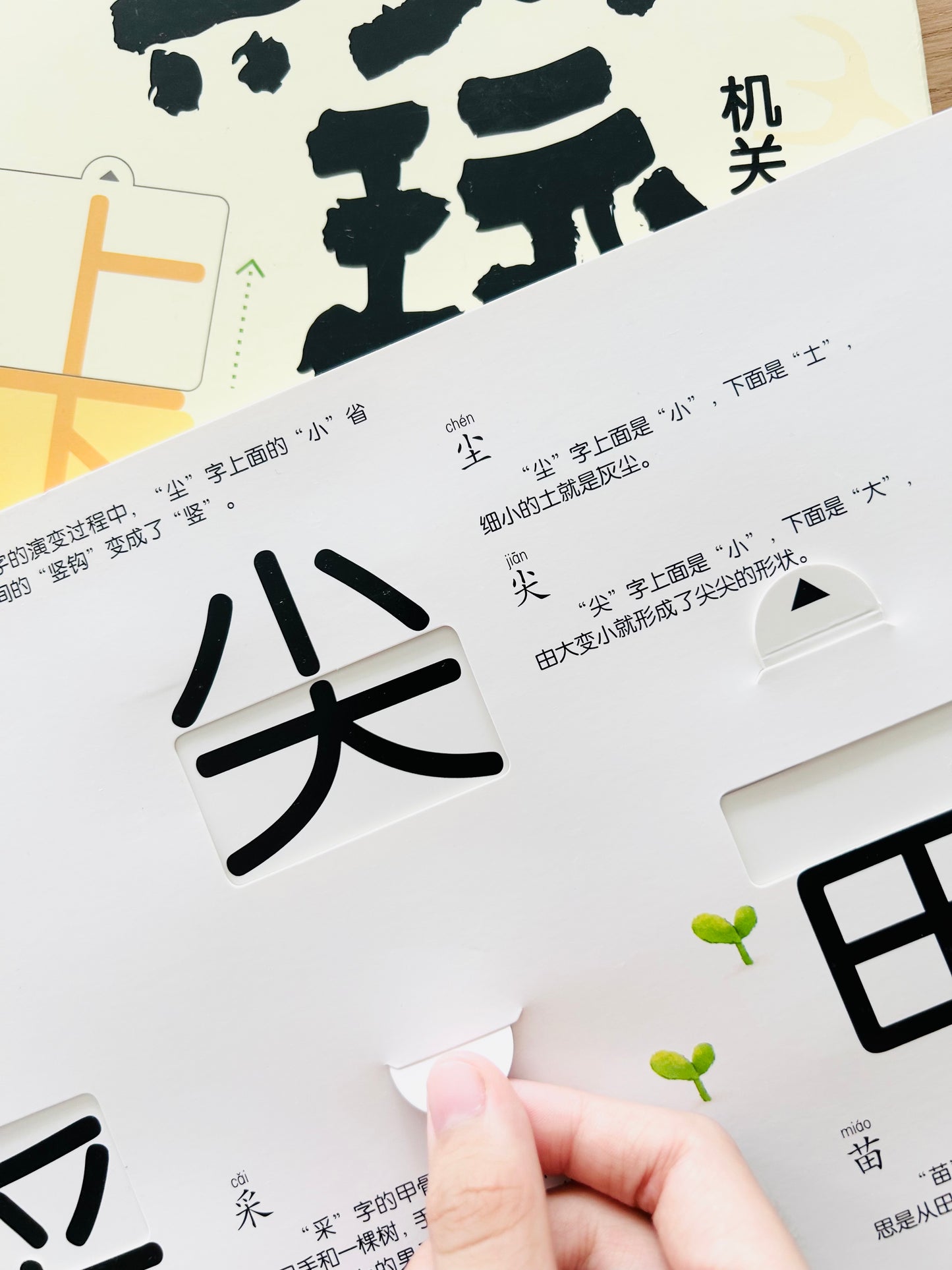 汉字真好玩 Chinese Characters are Fun (Set of 2)