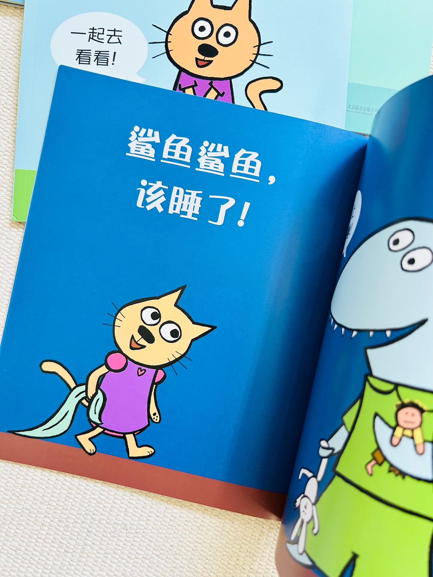 小猫小猫,那是谁?Cat the Cat, Who is That? (Set of 4)