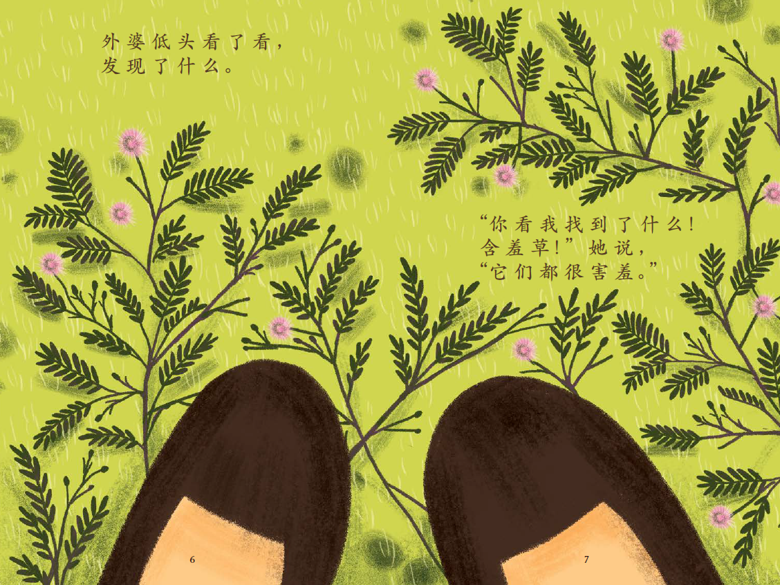 乐享大自然 Nature Playtime Series (Set of 5) - 海红豆树 Saga Tree + 含羞草 Touch-Me-Nots + 橡胶树 Rubber Tree + 木麻黄 Casuarina Tree + 火焰木 Flame of the Forest