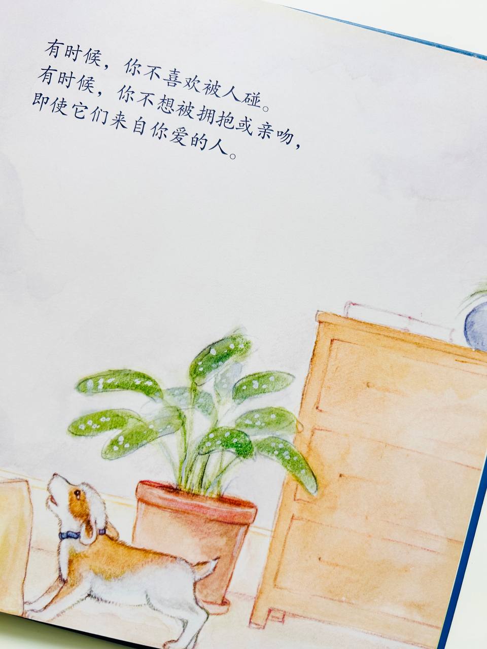 请不要随便摸我 Your Body Belongs to You