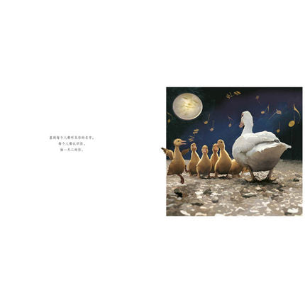 你出生的那天晚上 On the Night You Were Born