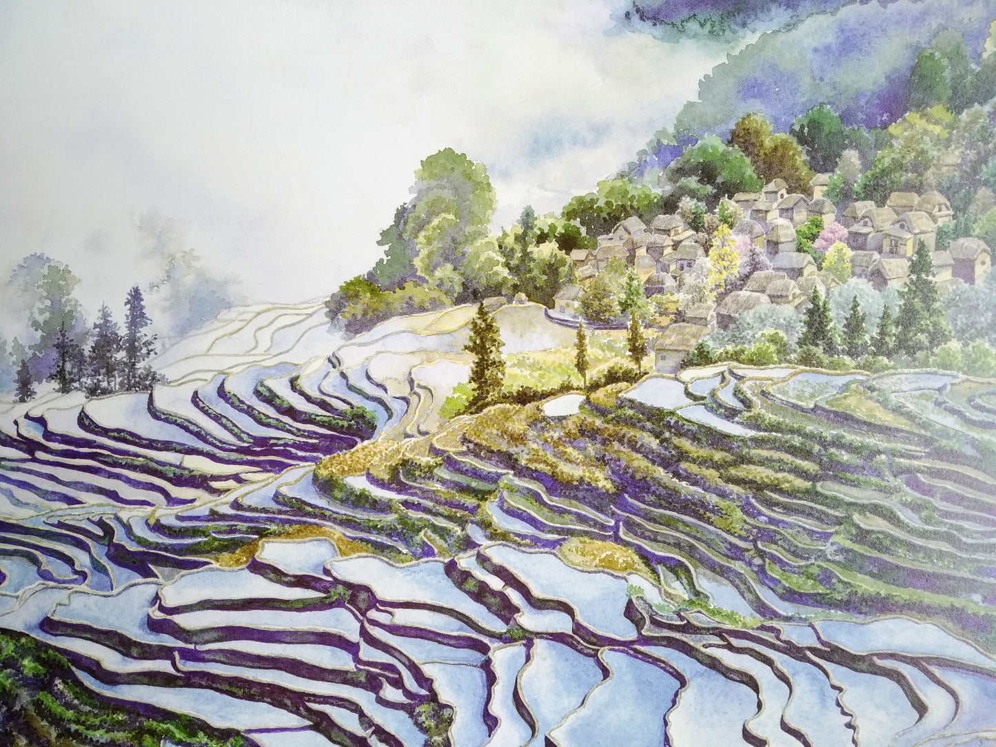 盘中餐 Rice