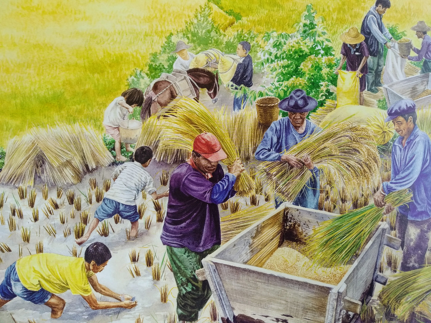 盘中餐 Rice