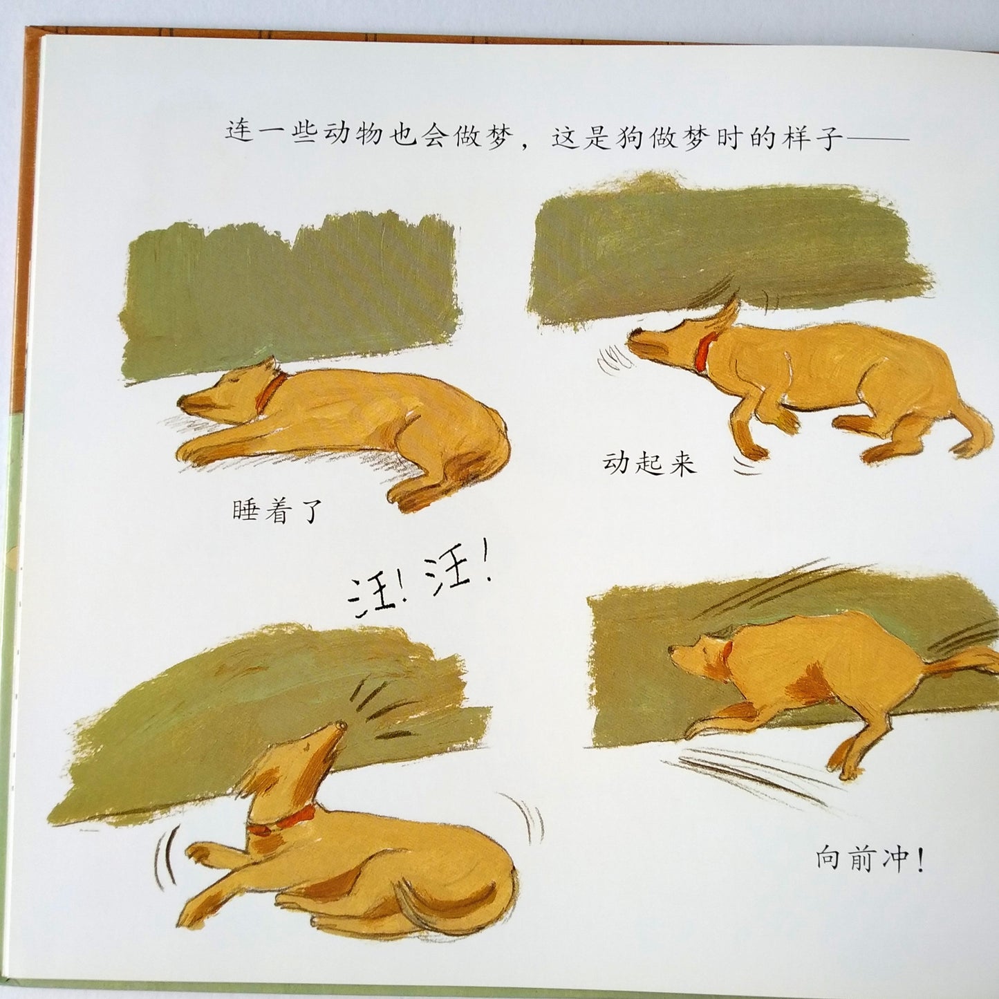 生活微百科 - 做梦 Daily Life Encyclopedia - Dreaming