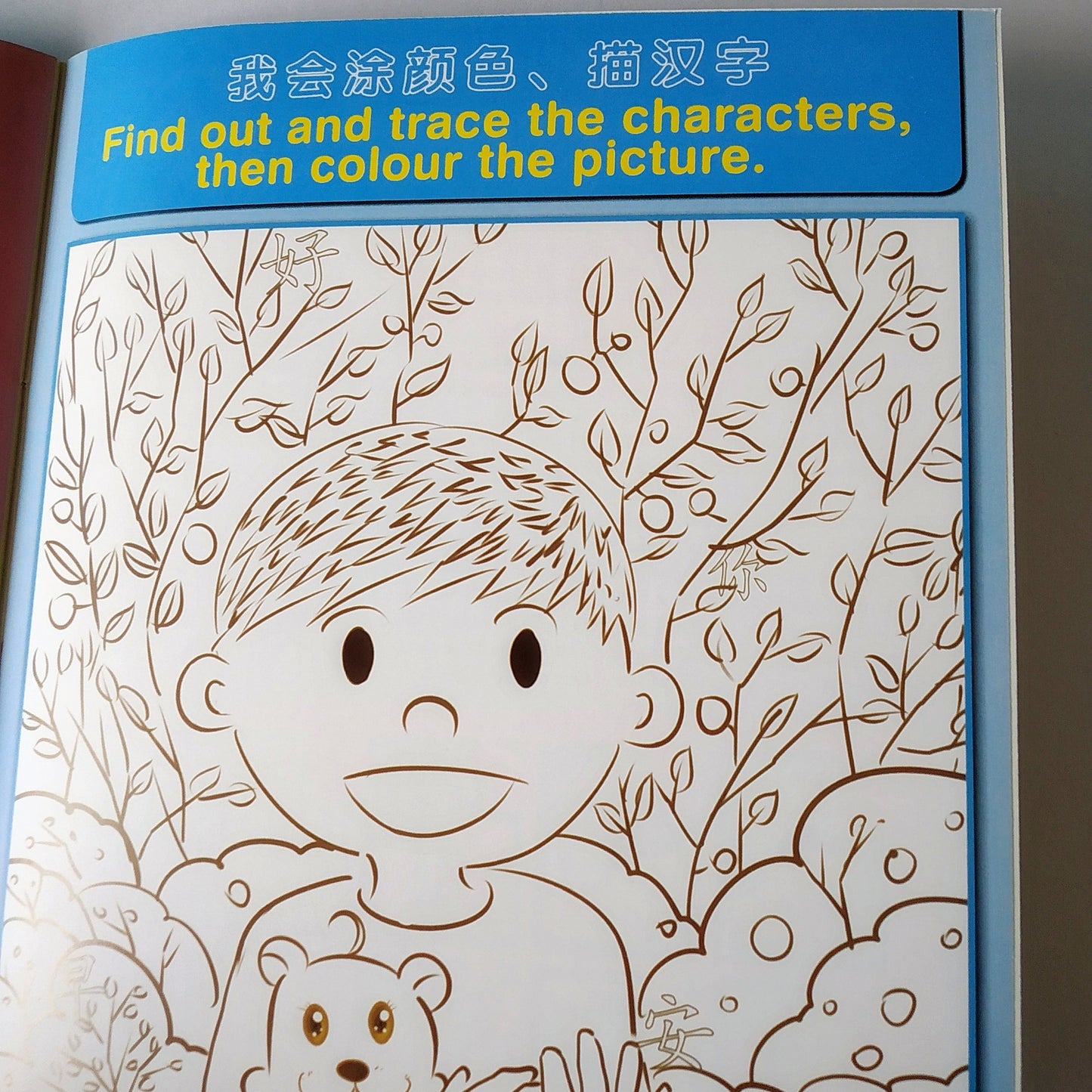Mandarin Leveled Readers (Set of 50)