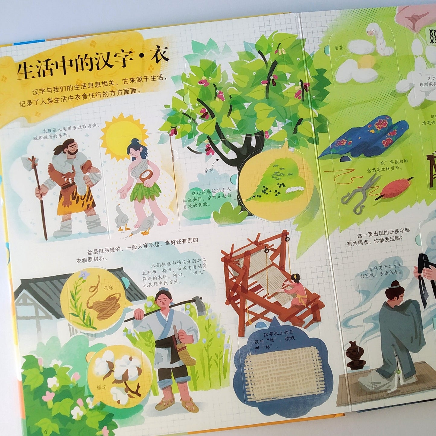 揭秘汉字 Look Inside Chinese Characters