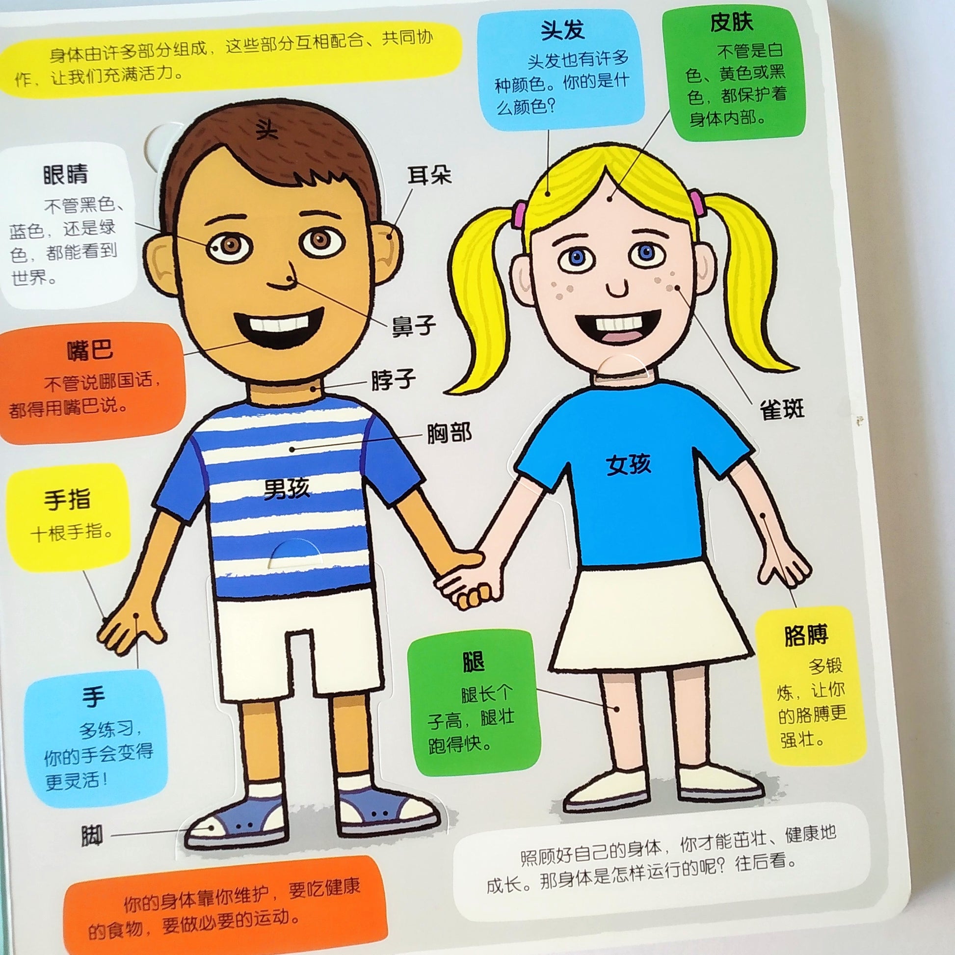 小小探险家 不可思议的身体 Little Explorers My Amazing Body