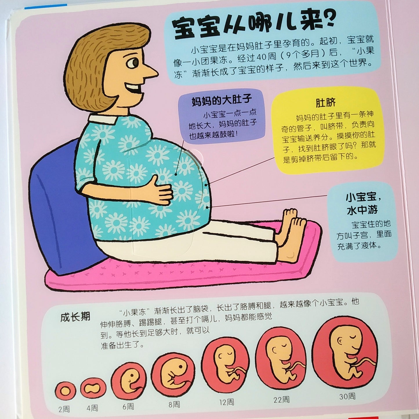 小小探险家 不可思议的身体 Little Explorers My Amazing Body