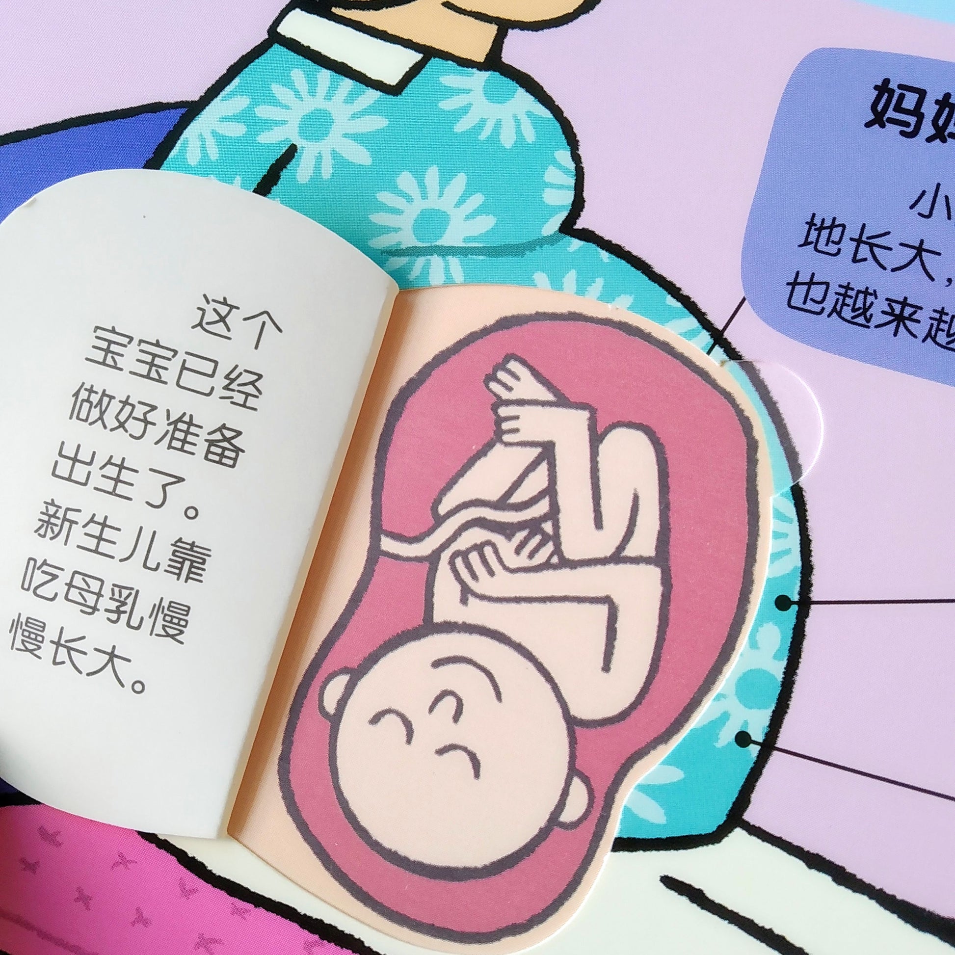 小小探险家 不可思议的身体 Little Explorers My Amazing Body