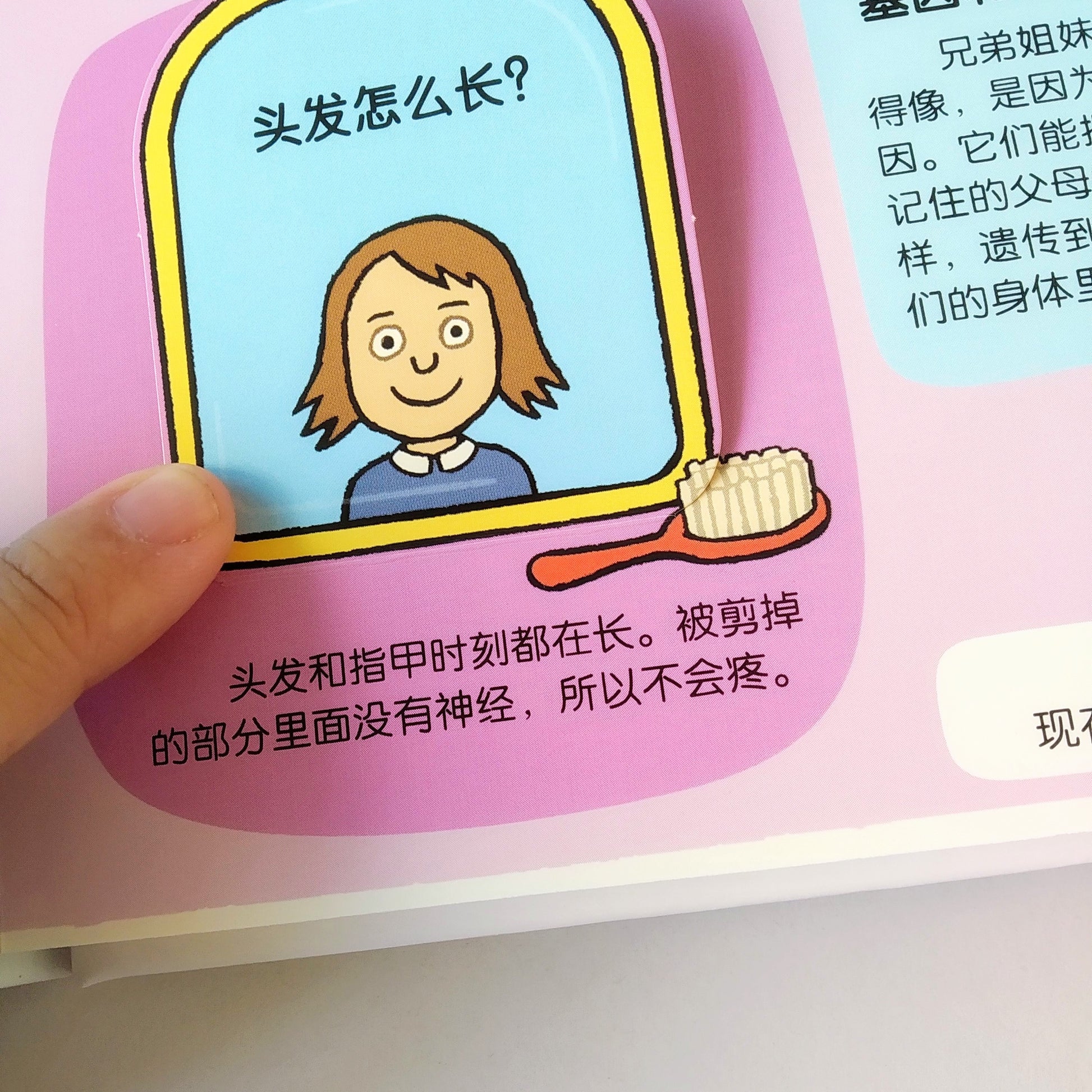 小小探险家 不可思议的身体 Little Explorers My Amazing Body