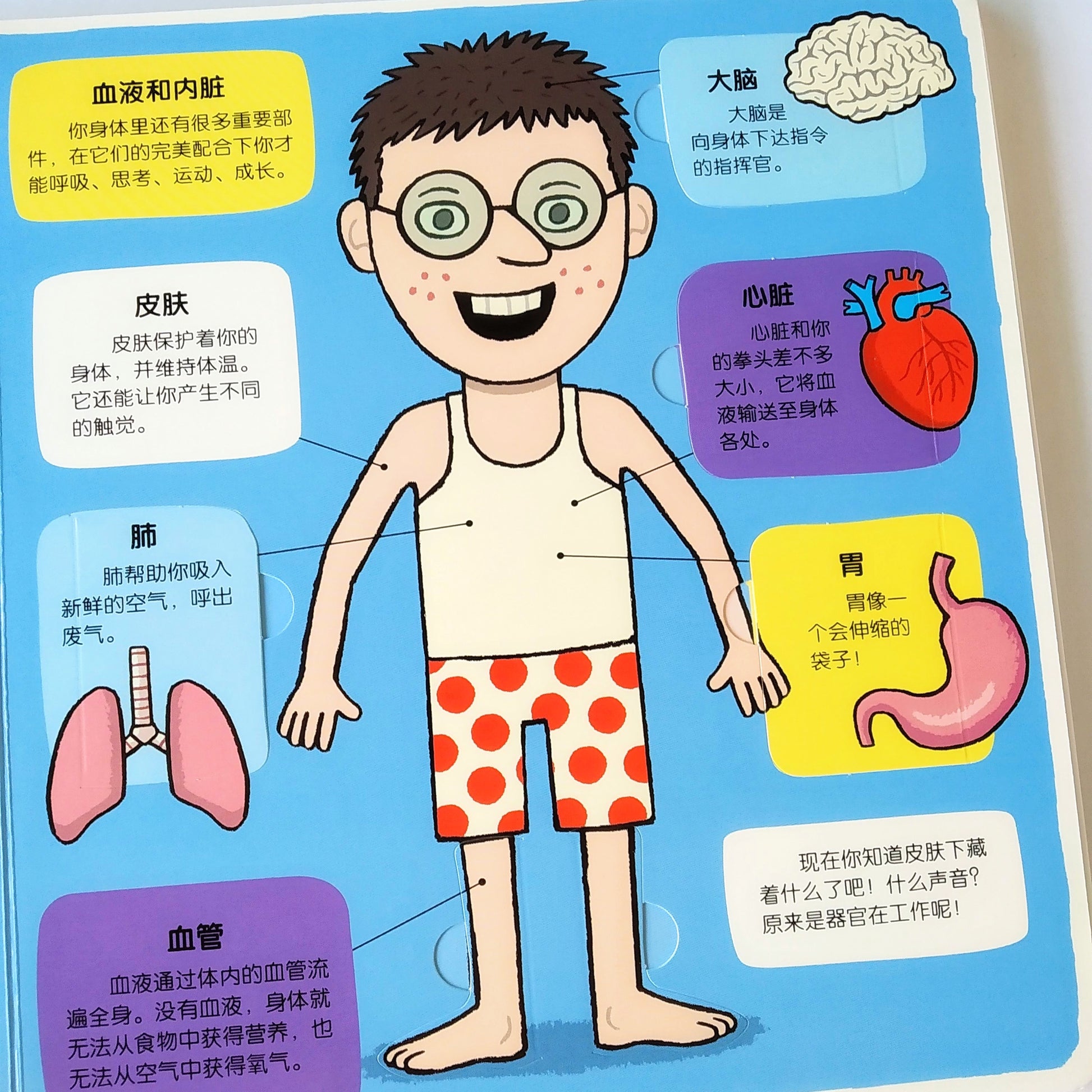 小小探险家 不可思议的身体 Little Explorers My Amazing Body