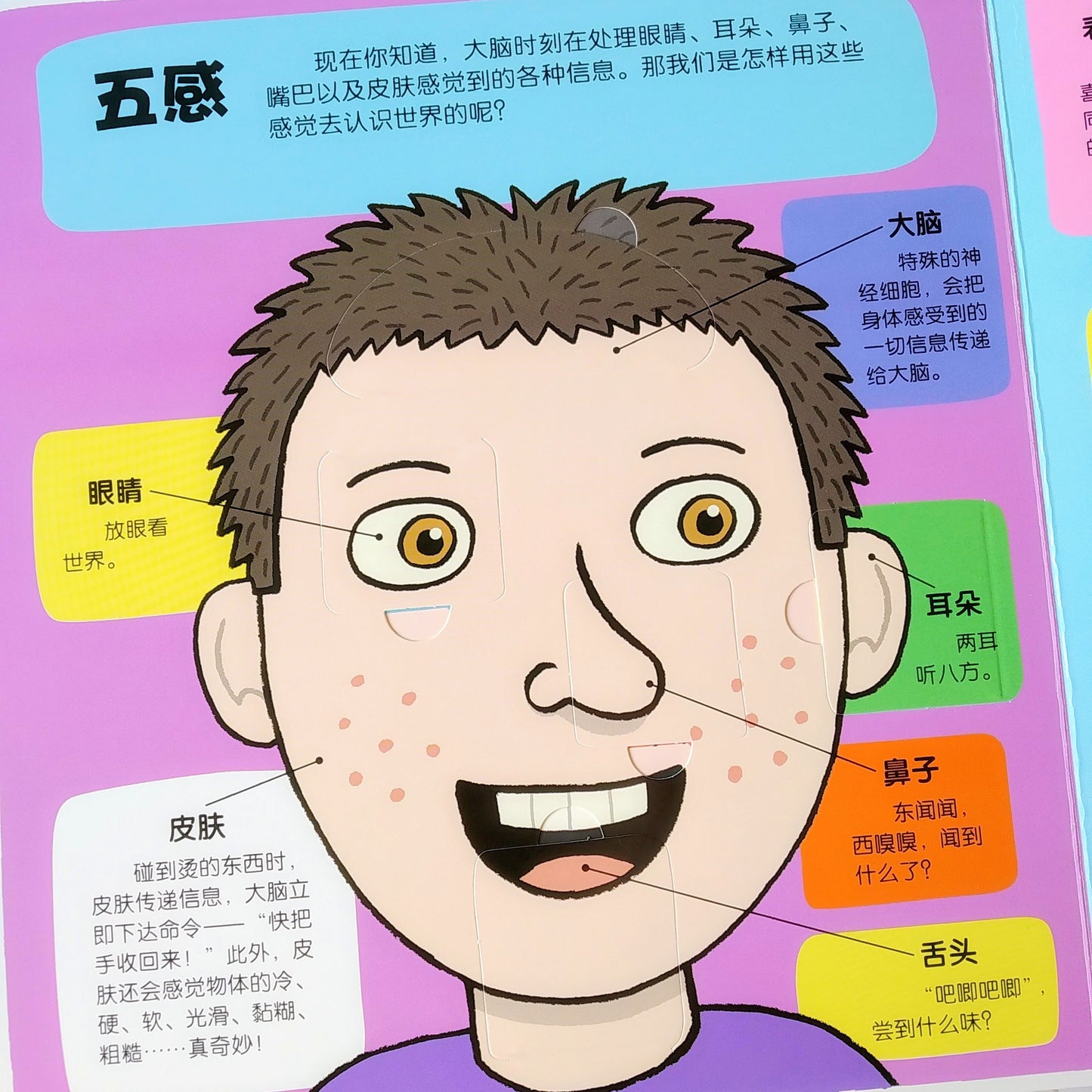 小小探险家 不可思议的身体 Little Explorers My Amazing Body