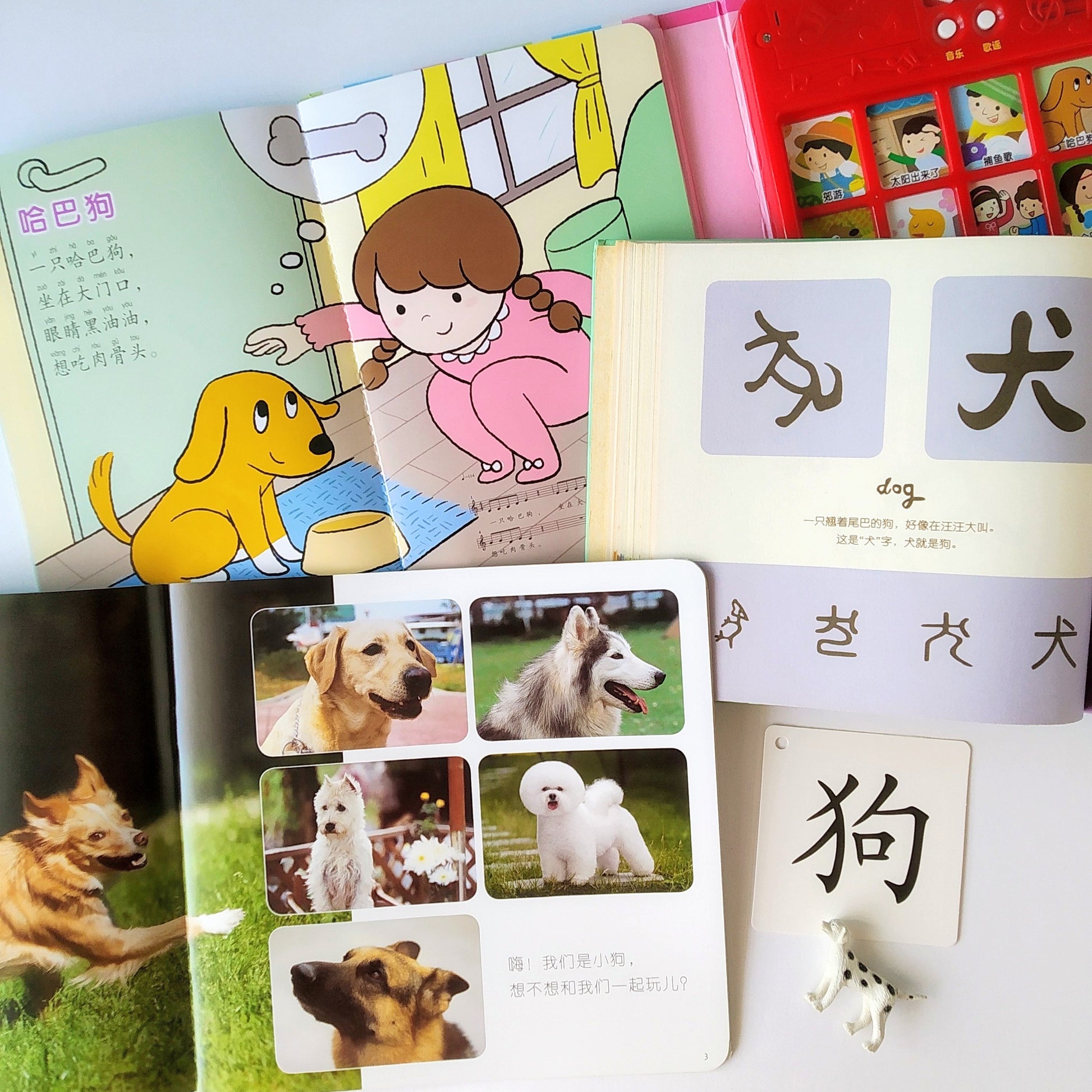我的第一套自然认知书 My First Nature Encyclopedia (Set of 20)
