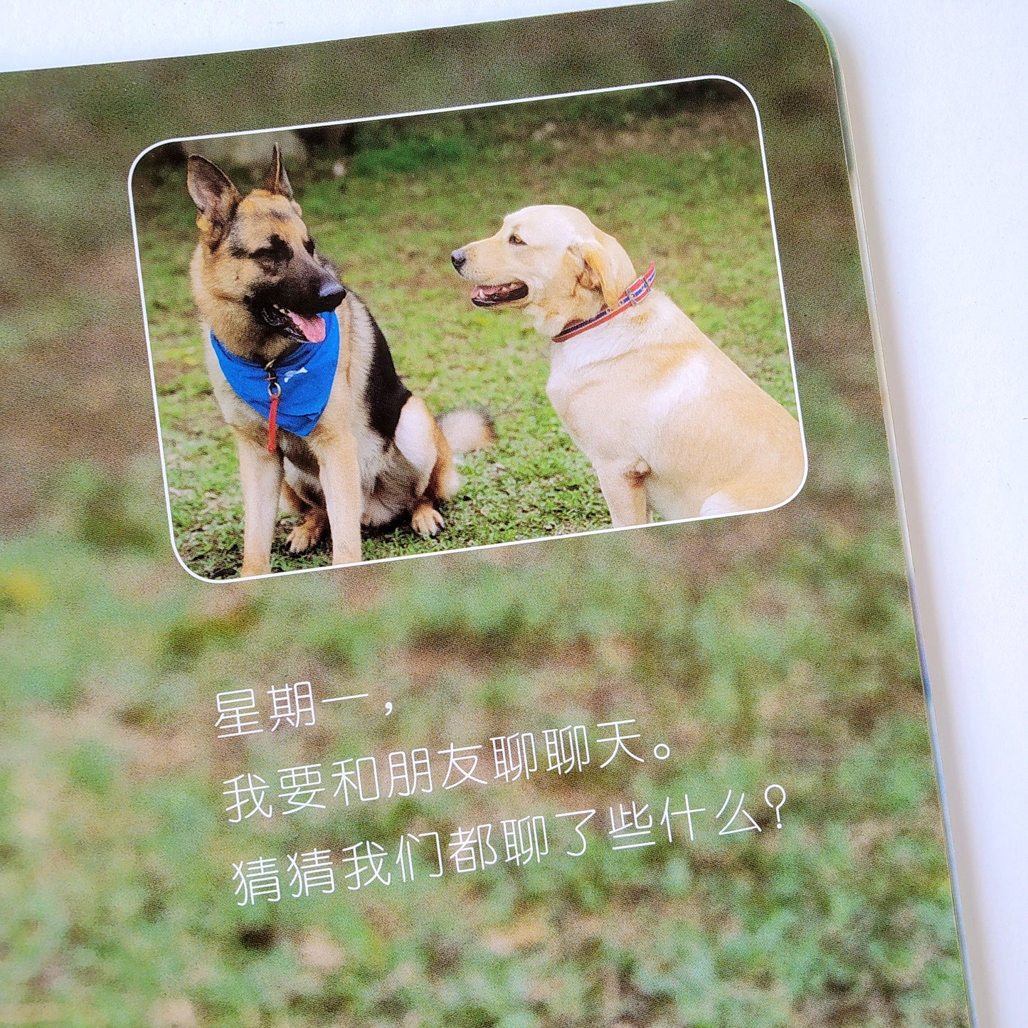 我的第一套自然认知书 My First Nature Encyclopedia (Set of 20)