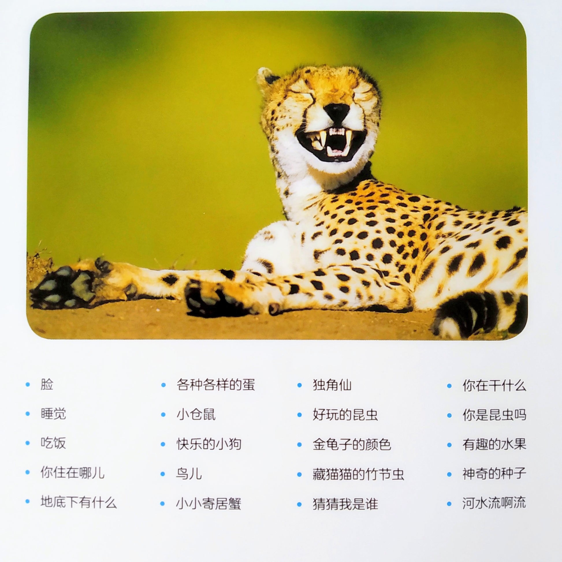 我的第一套自然认知书 My First Nature Encyclopedia (Set of 20)