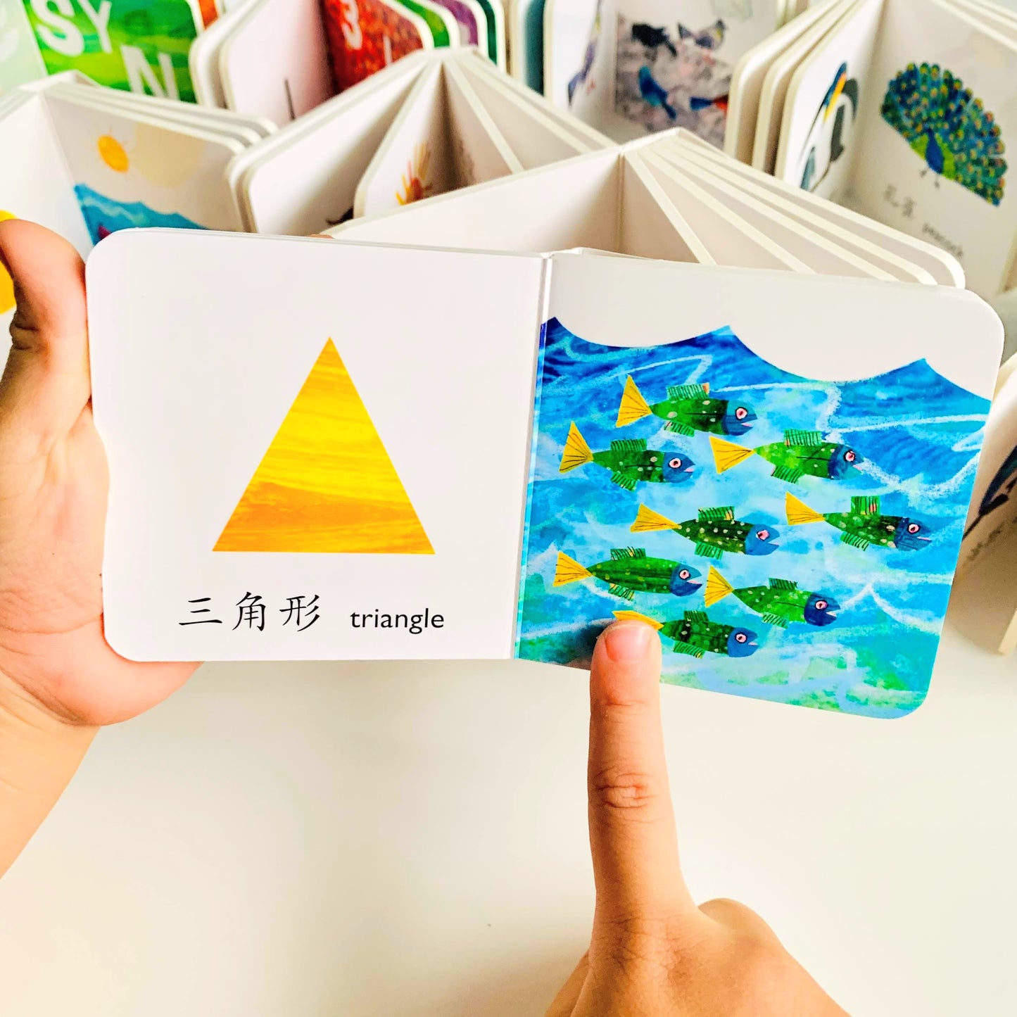 Eric Carle 认知书 Picture Encyclopedia (Set of 12)