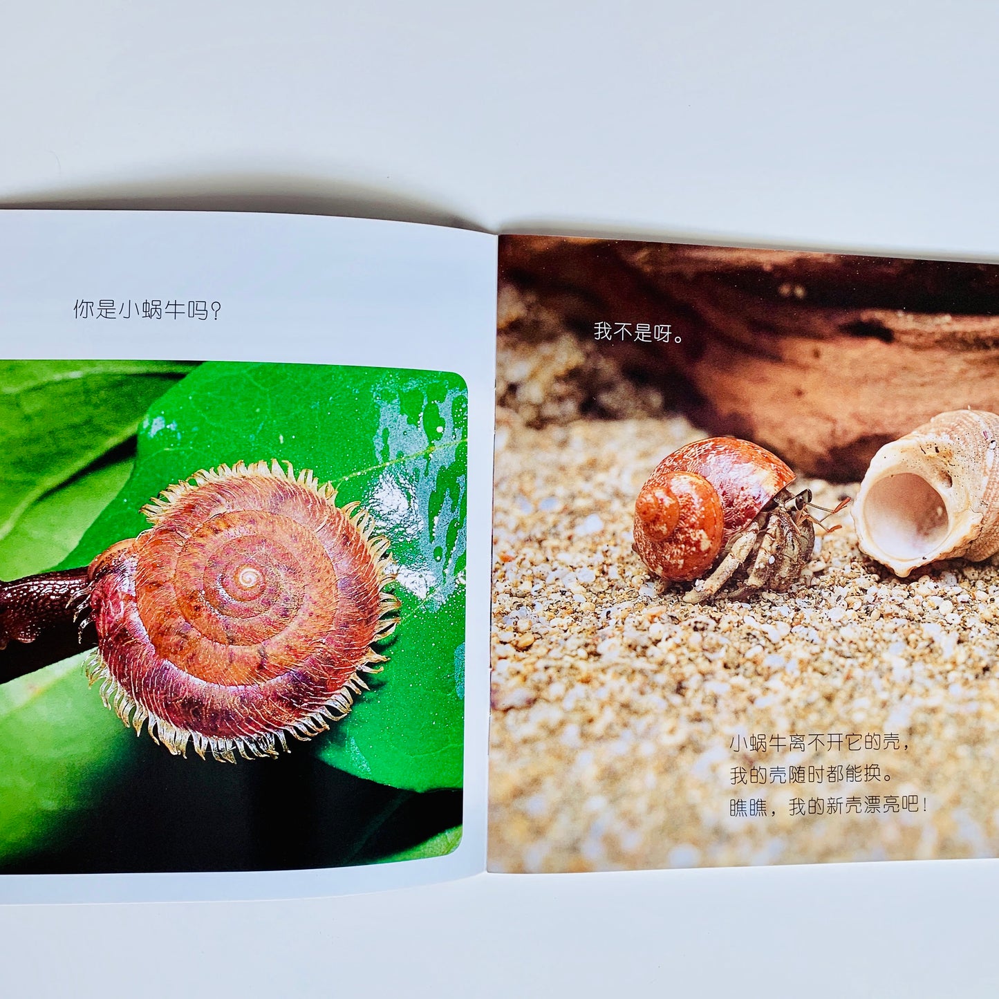 我的第一套自然认知书 My First Nature Encyclopedia (Set of 20)