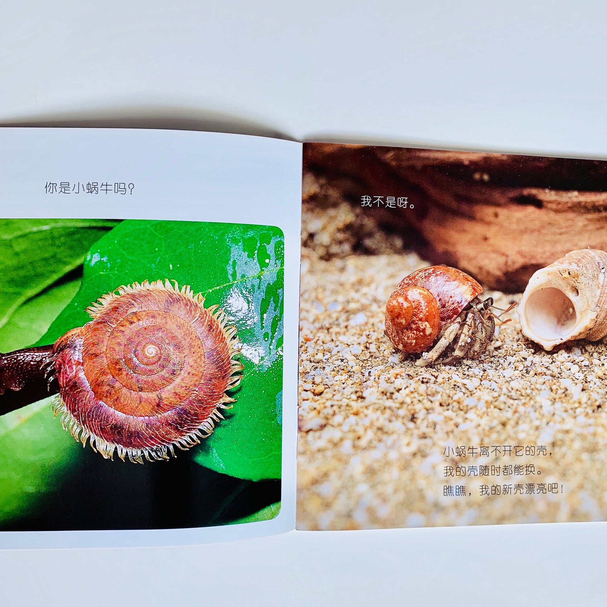 我的第一套自然认知书 My First Nature Encyclopedia (Set of 20)