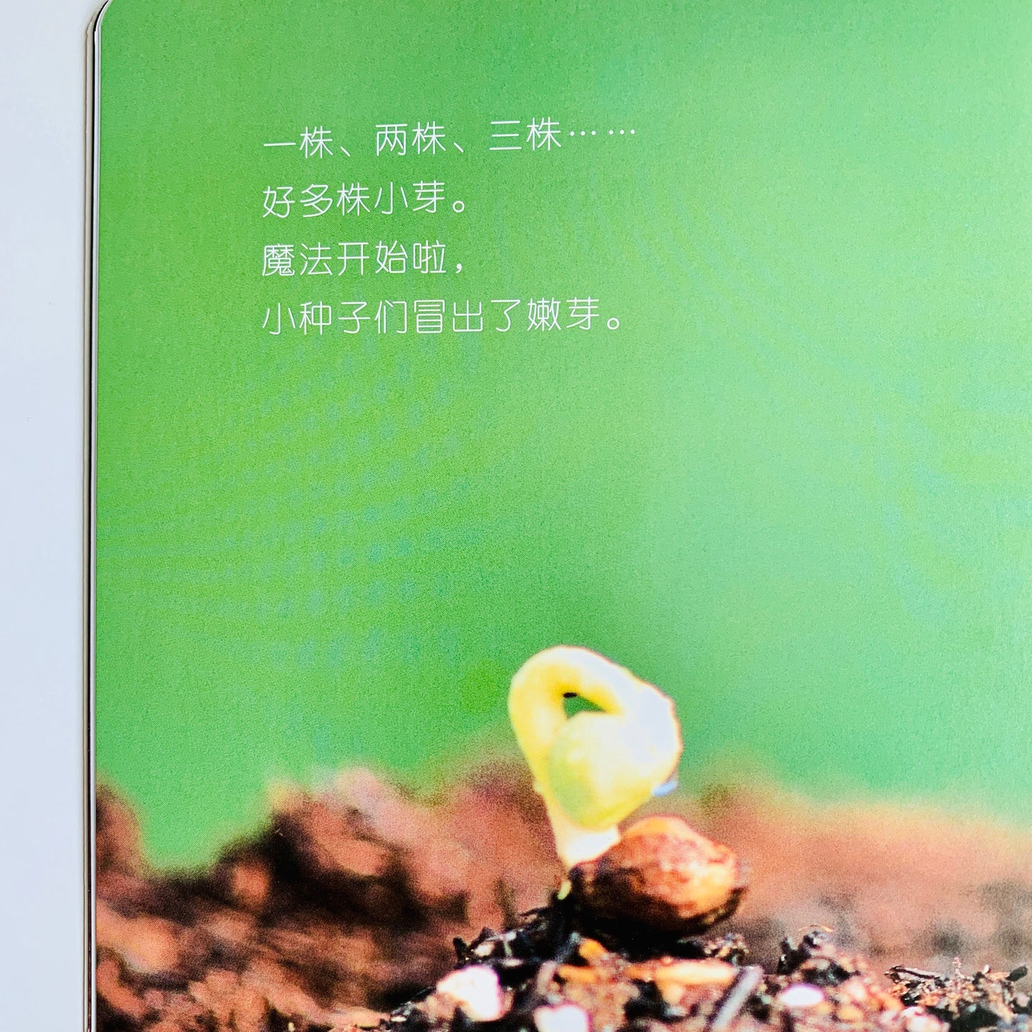 我的第一套自然认知书 My First Nature Encyclopedia (Set of 20)
