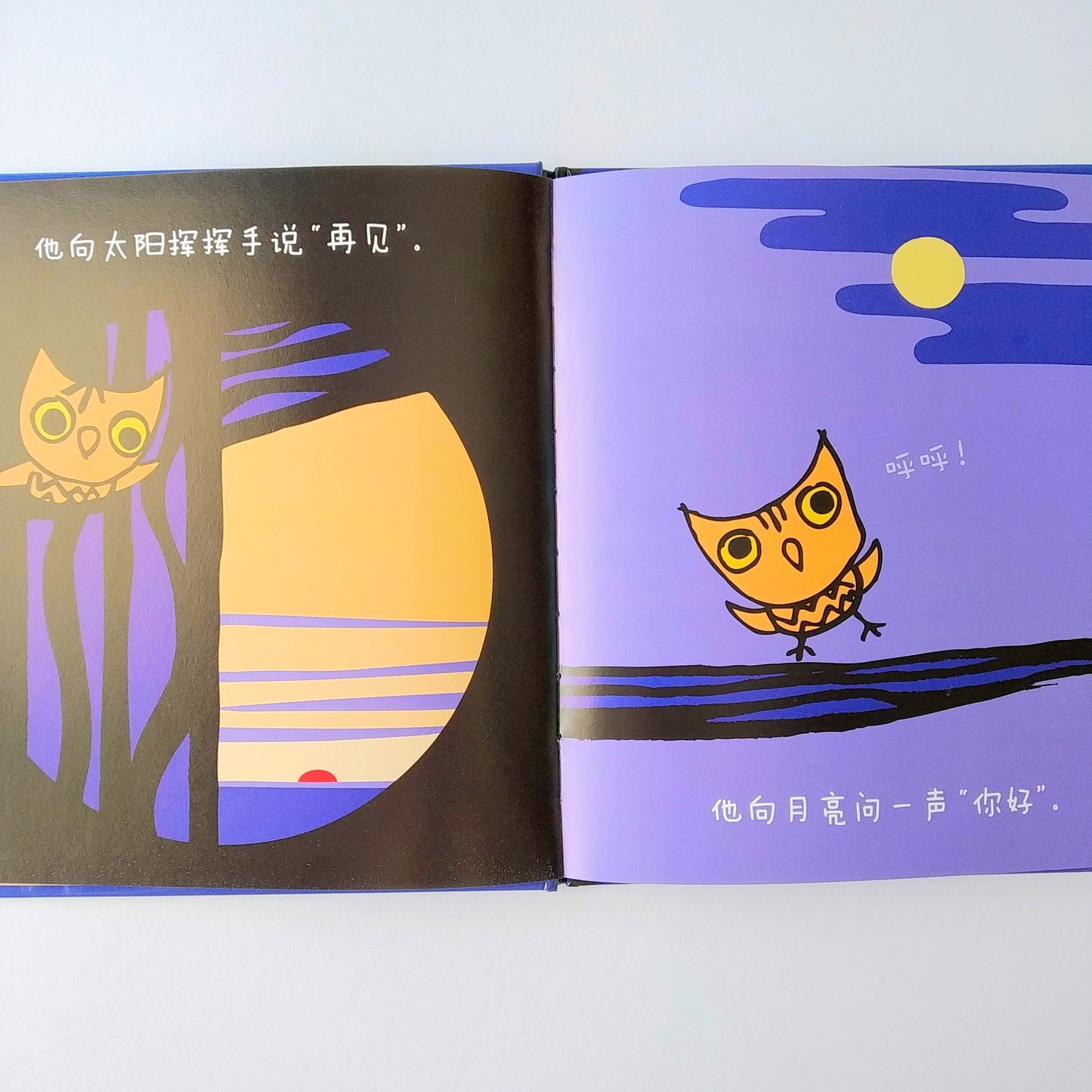 早起的小鸟系列 Early Bird Series (Set of 3)