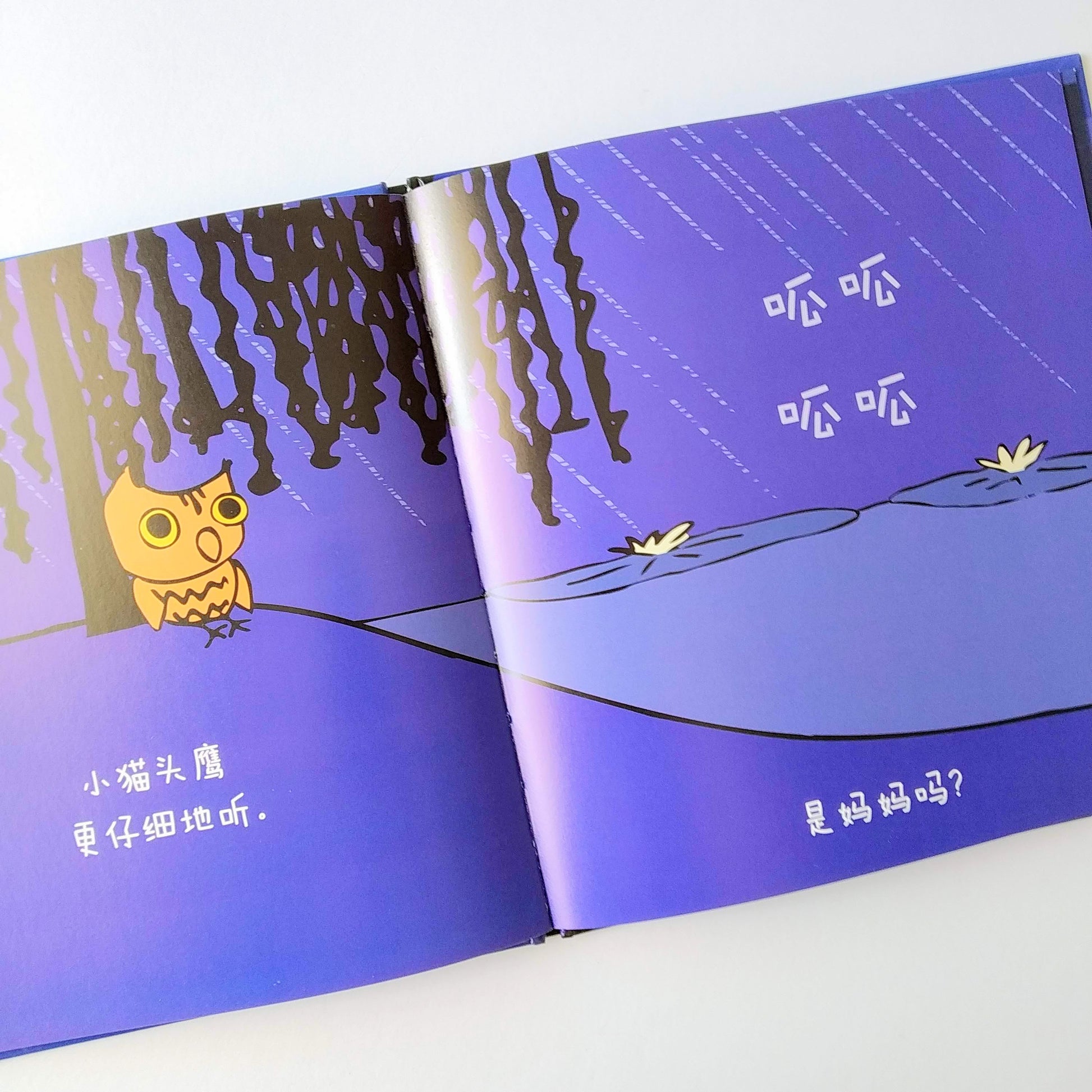 早起的小鸟系列 Early Bird Series (Set of 3)