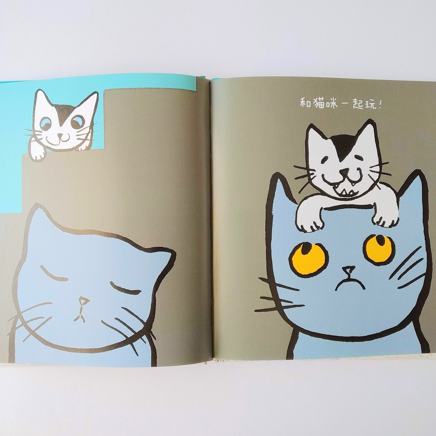 早起的小鸟系列 Early Bird Series (Set of 3)
