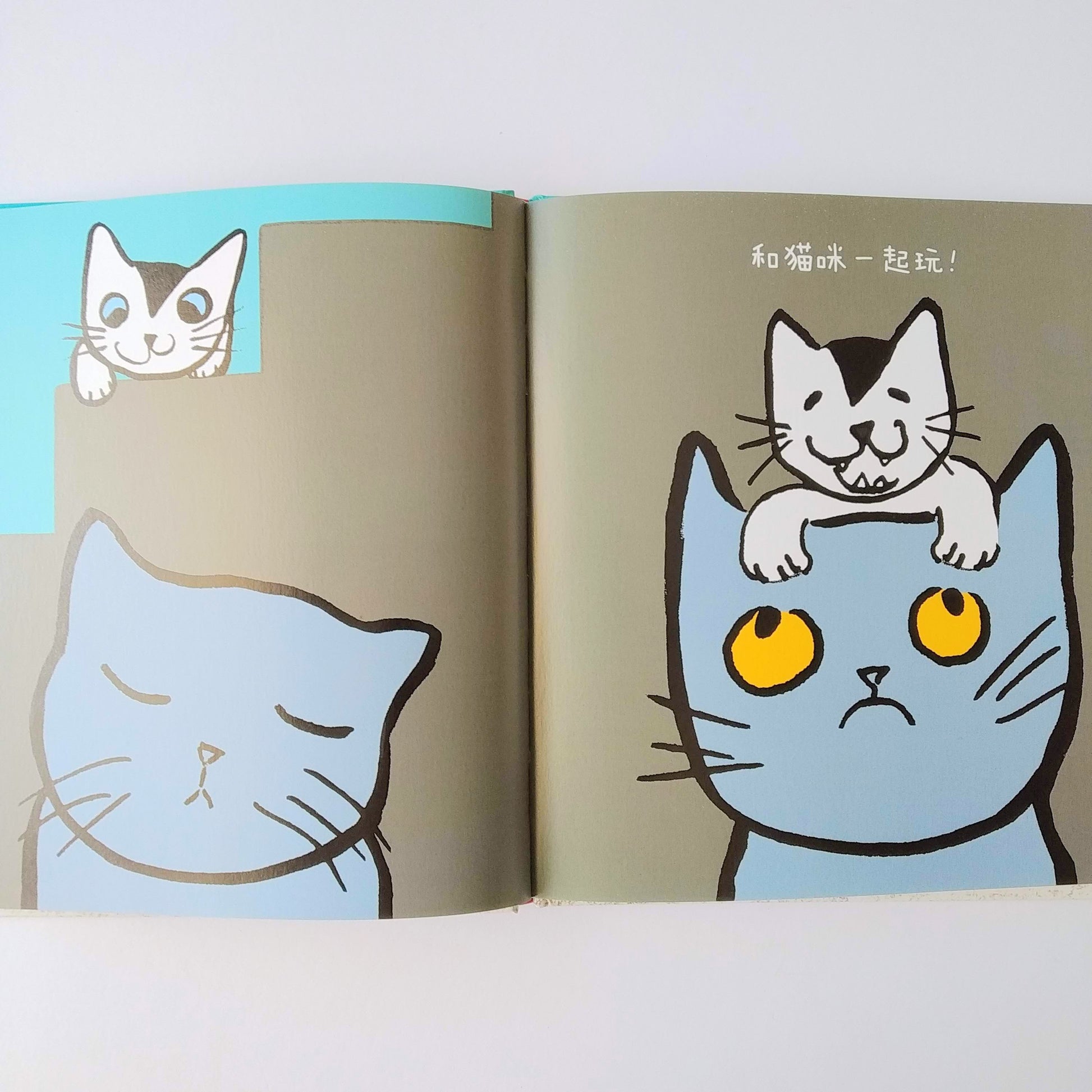 早起的小鸟系列 Early Bird Series (Set of 3)