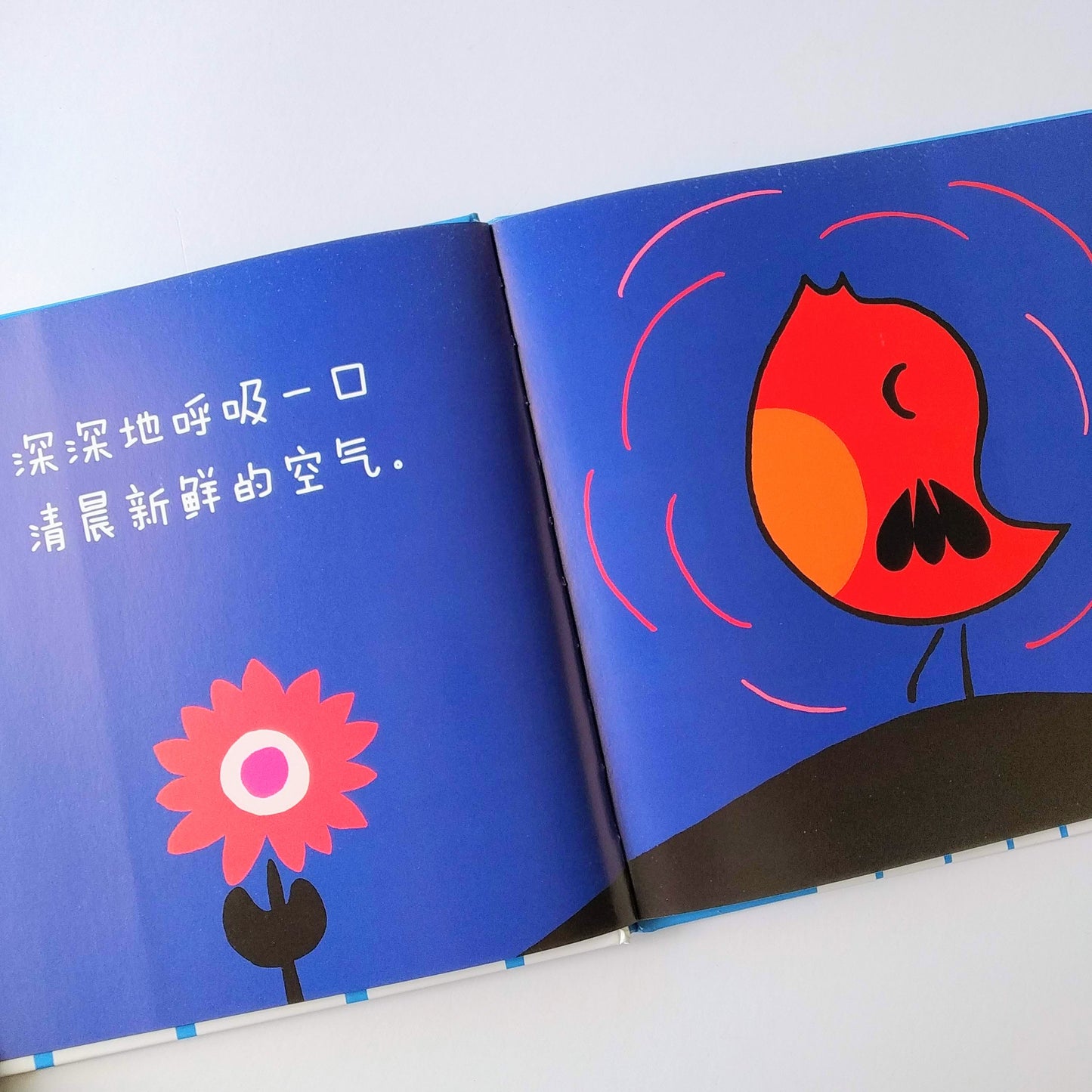 早起的小鸟系列 Early Bird Series (Set of 3)