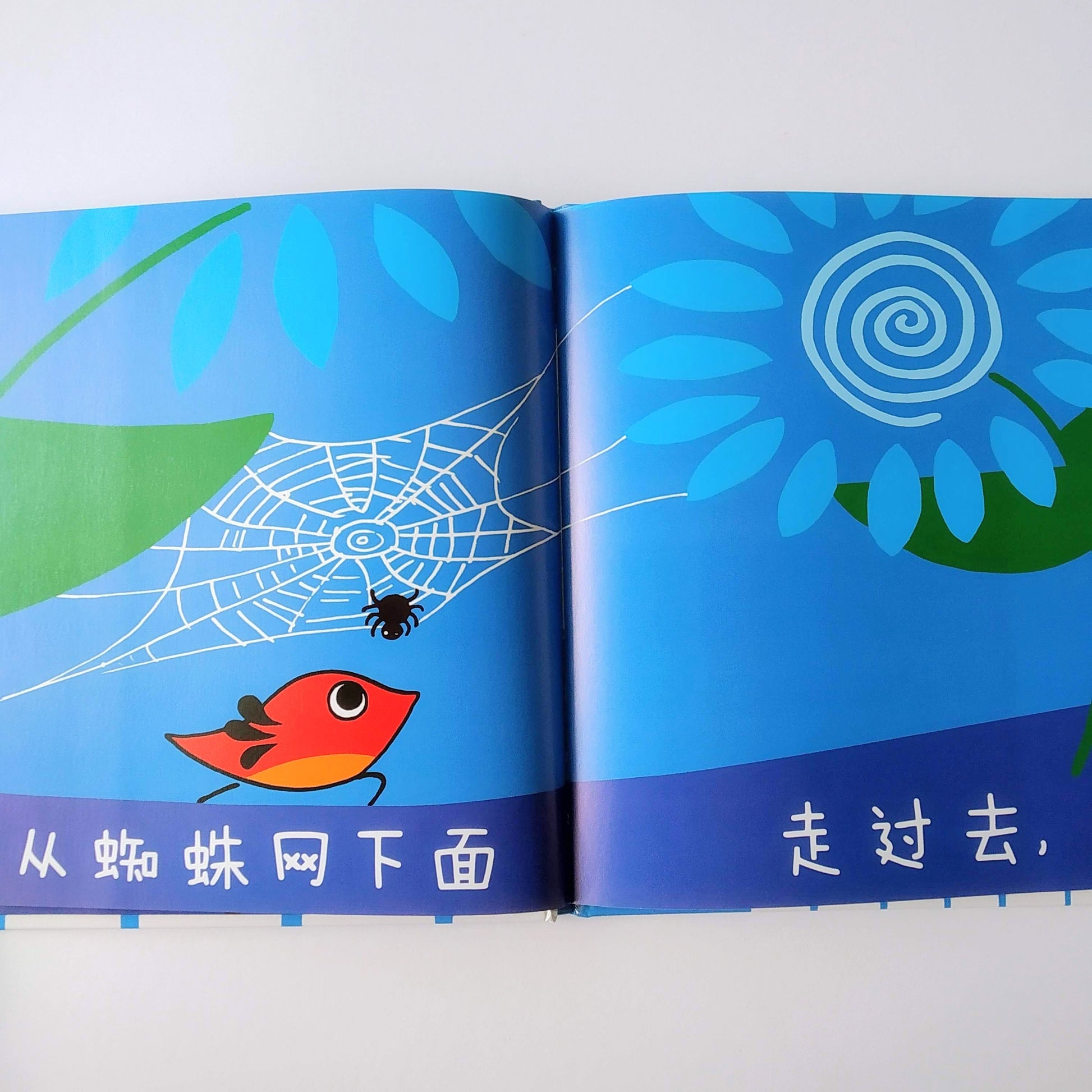 早起的小鸟系列 Early Bird Series (Set of 3)