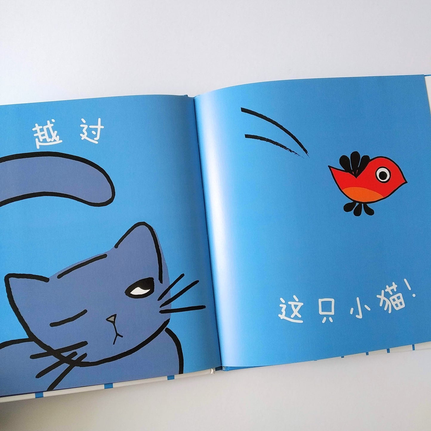 早起的小鸟系列 Early Bird Series (Set of 3)