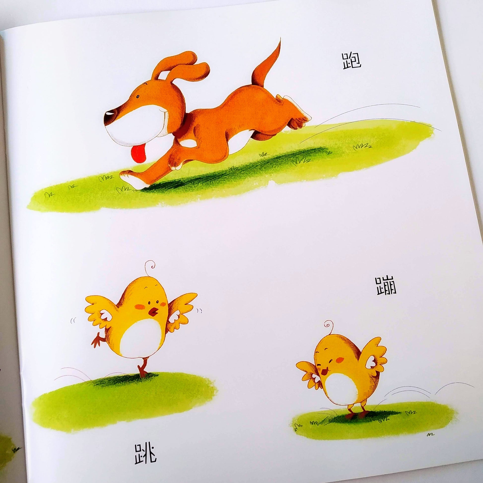 宝宝学说话 - 语言启蒙 Little Ones Learn to Speak (Set of 10)
