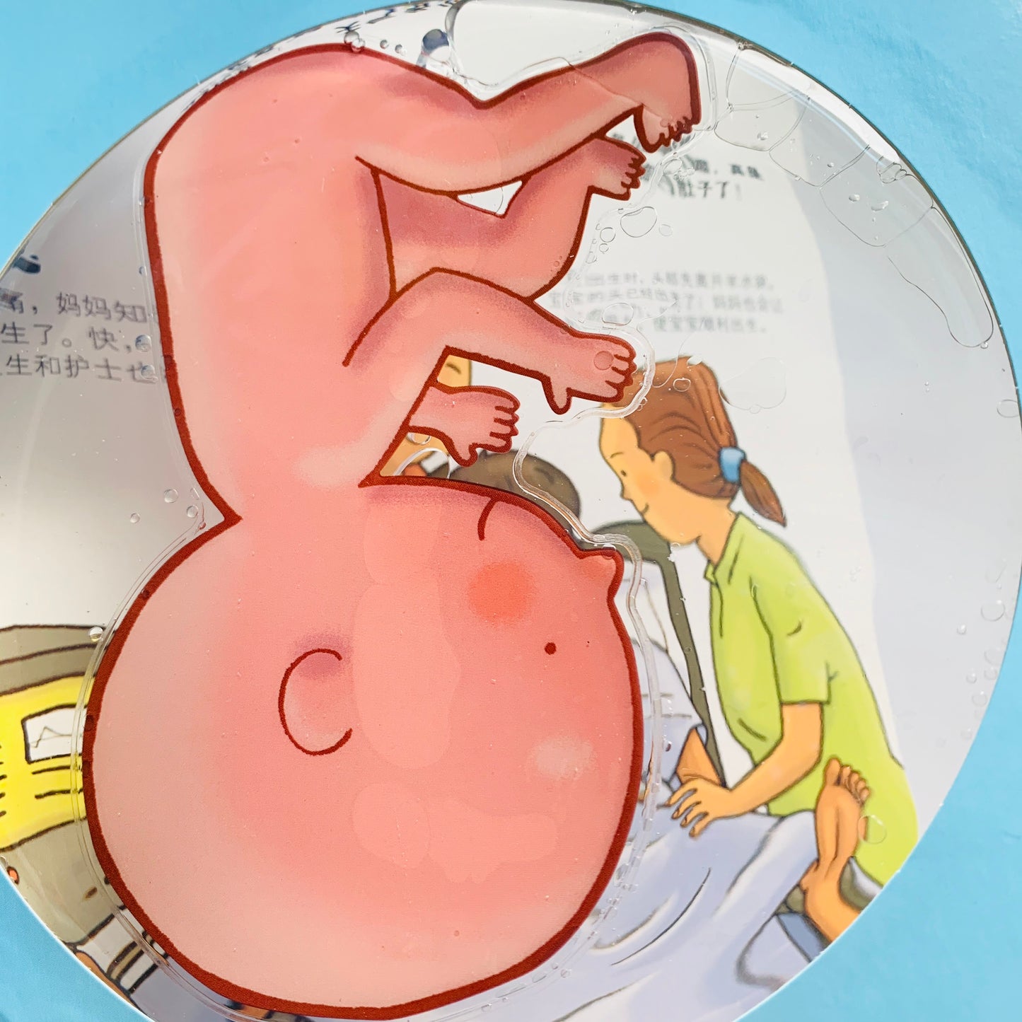 我们的身体 Our Bodies Interactive Book