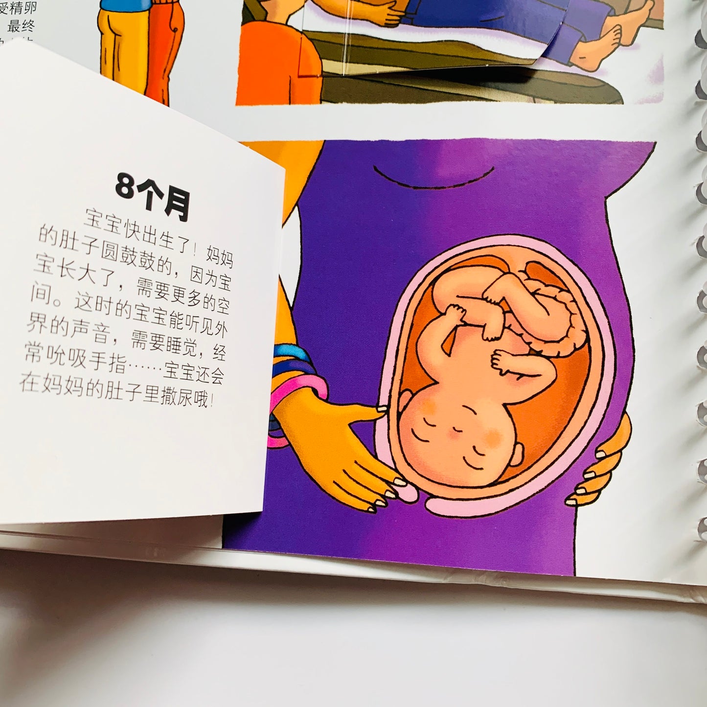 我们的身体 Our Bodies Interactive Book