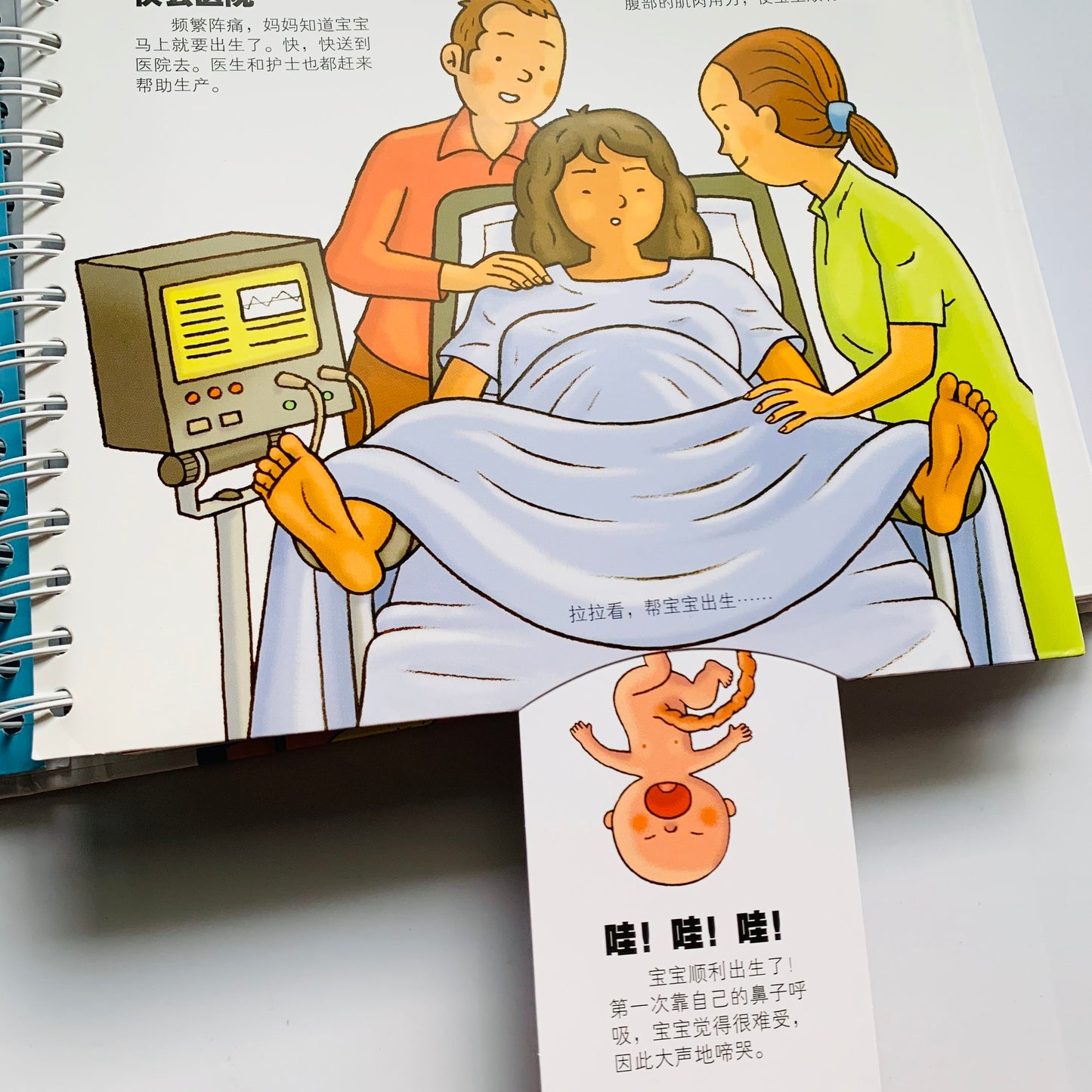 我们的身体 Our Bodies Interactive Book