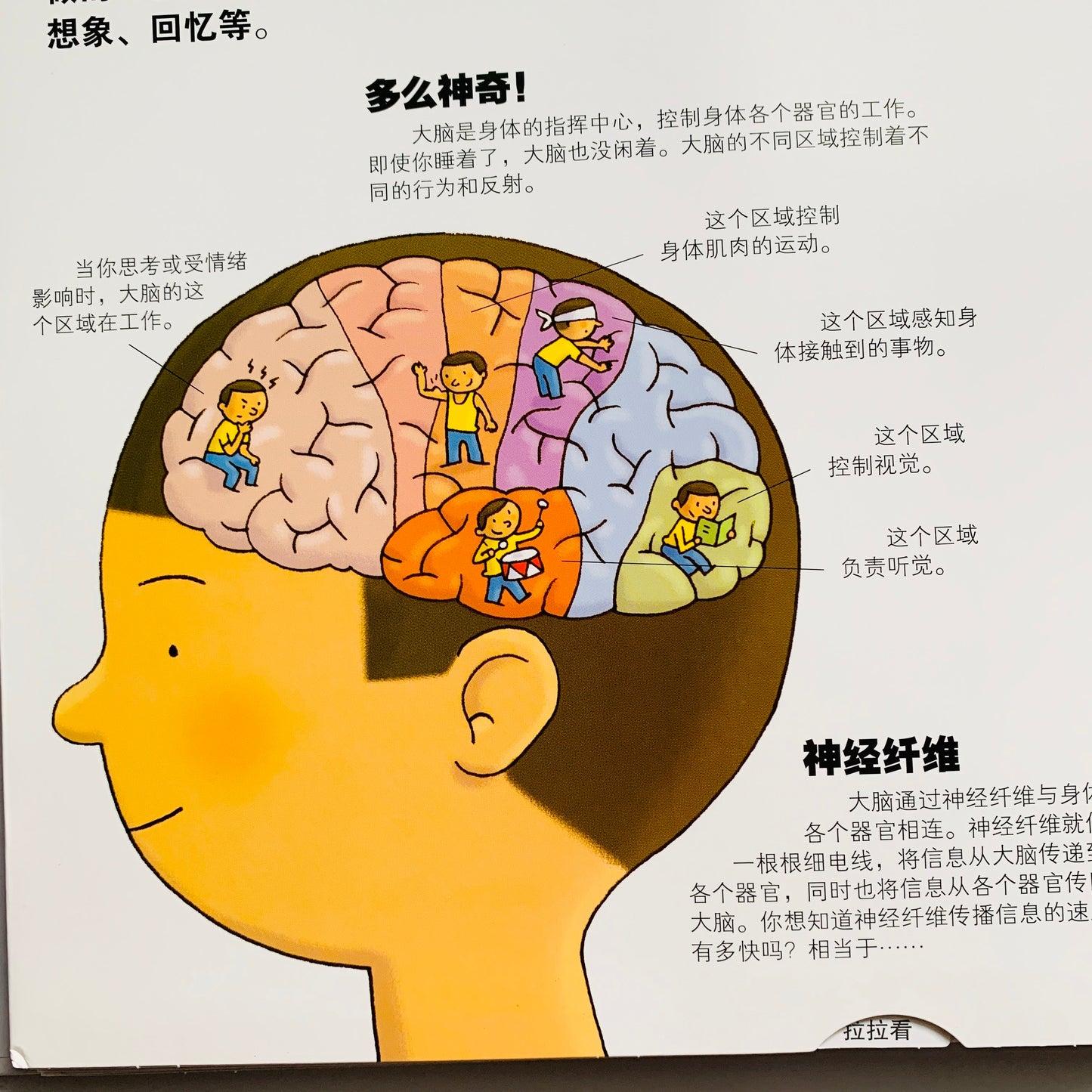 我们的身体 Our Bodies Interactive Book