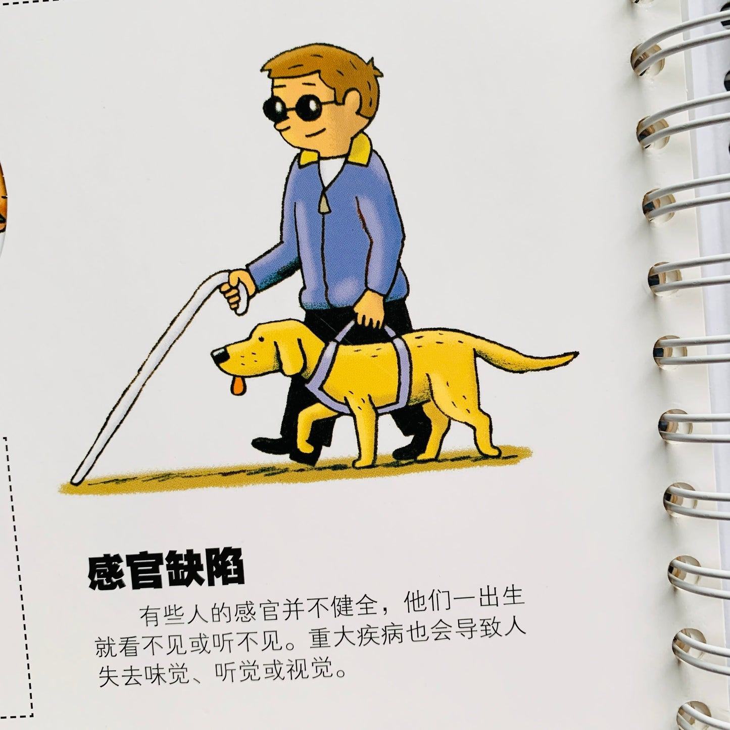 我们的身体 Our Bodies Interactive Book
