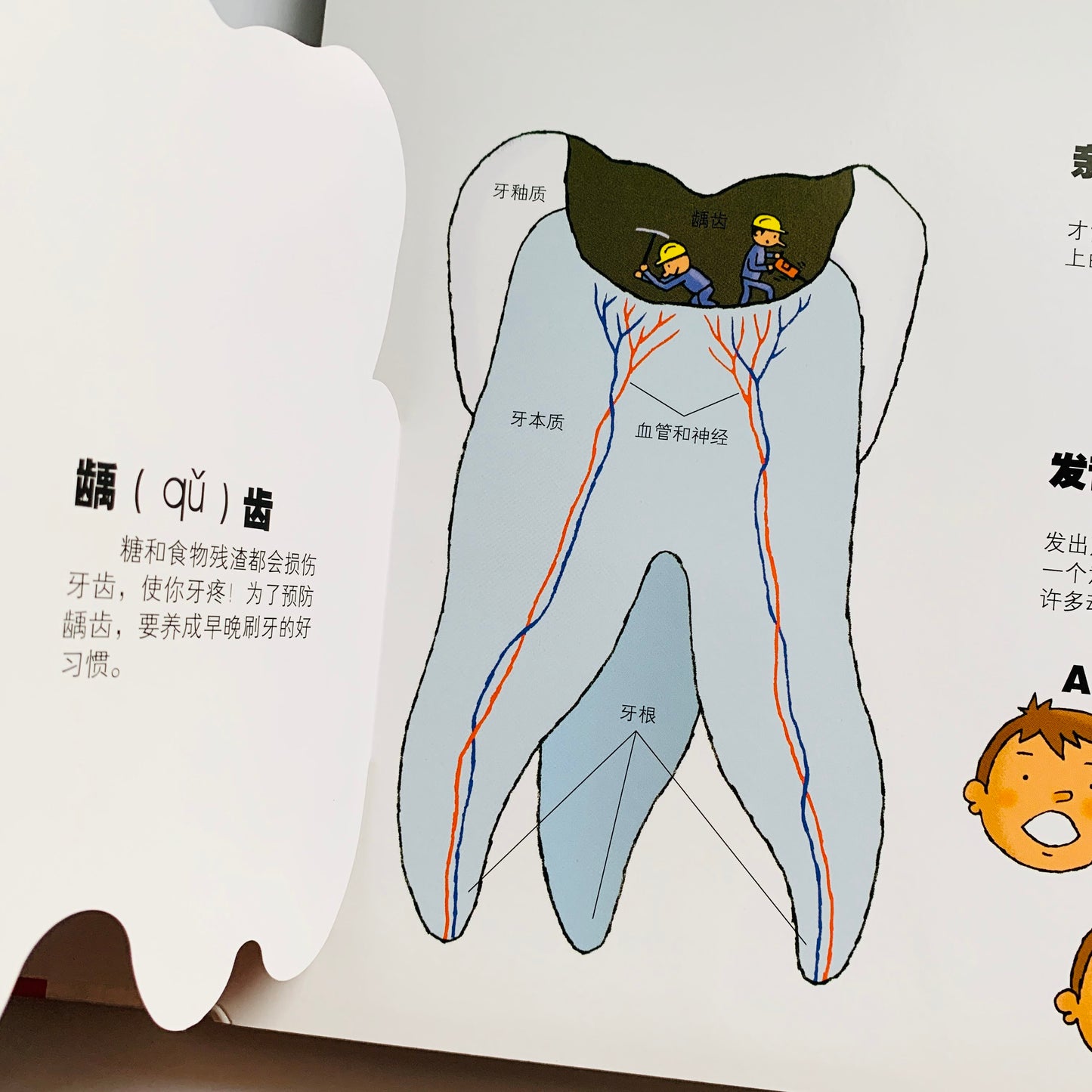 我们的身体 Our Bodies Interactive Book