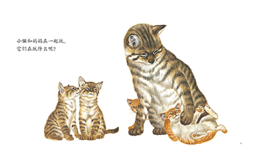动物宝宝和妈妈 Animal Babies and Moms (Set of 7)