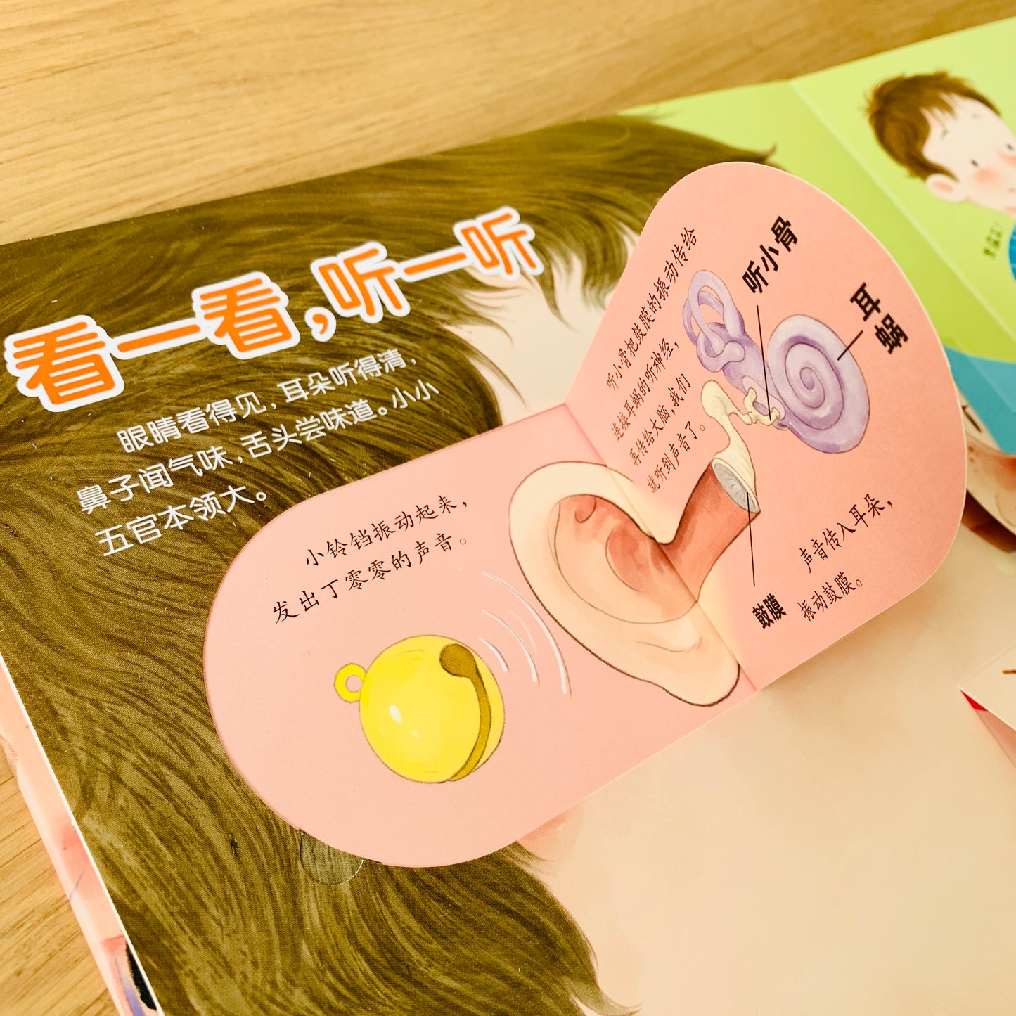 我们的身体 立体书 Our Bodies 3D Pop-up Book