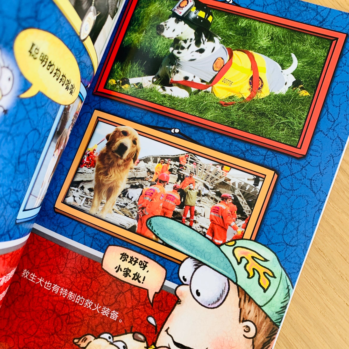 苍蝇小子 Fly Guy Bridging Books (Set of 9)