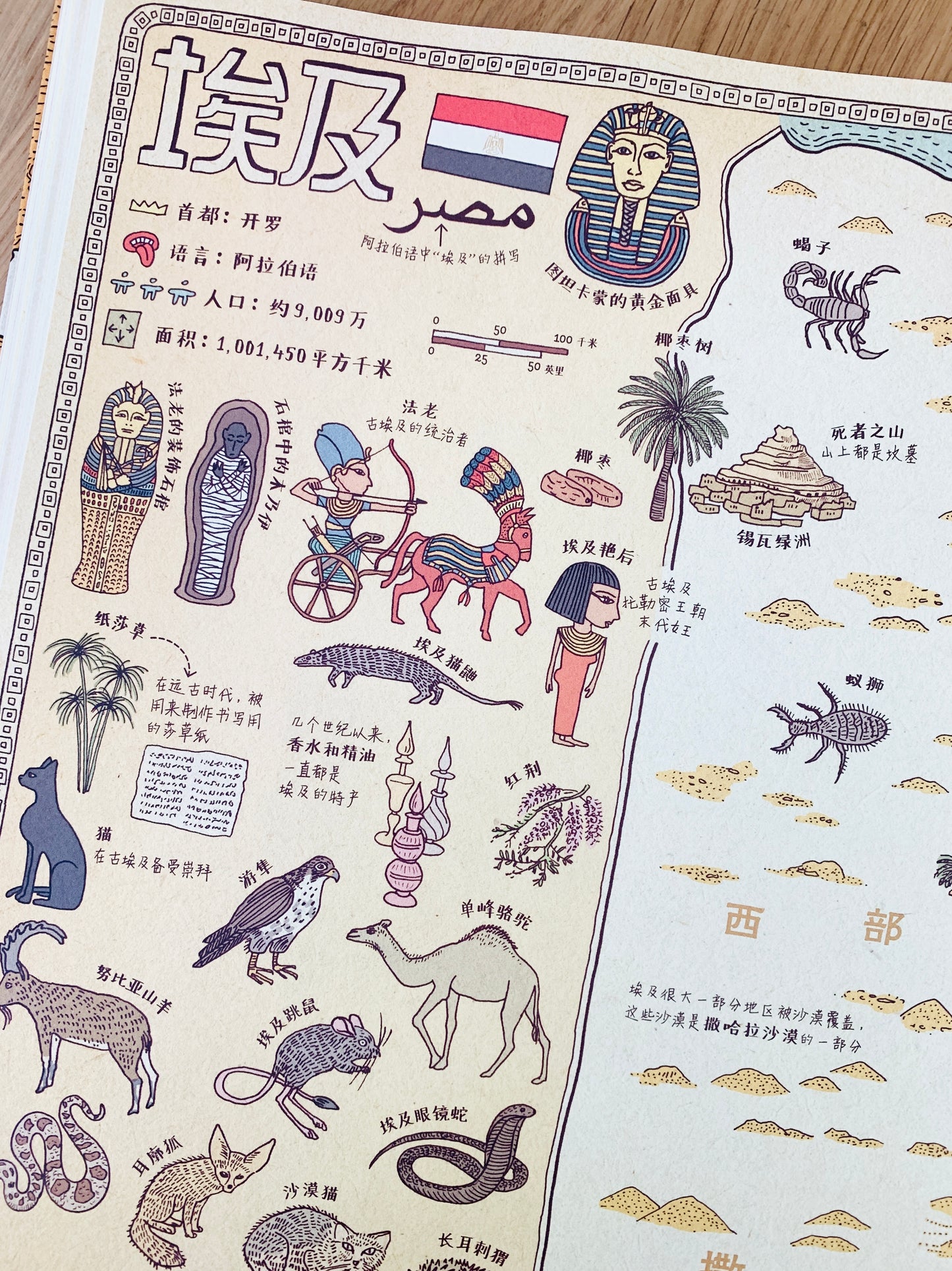 地图 Maps